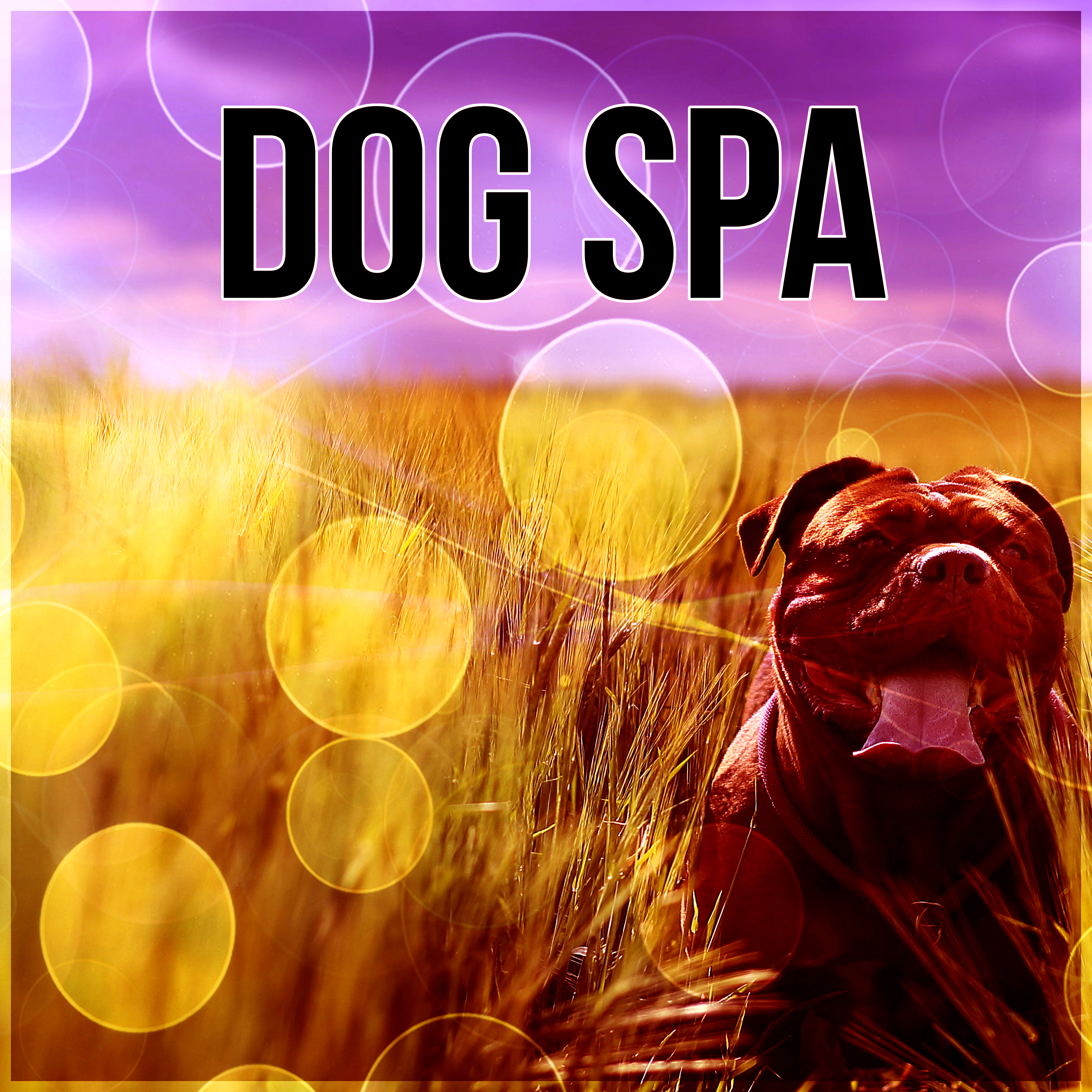 Dog Spa – Calming Music to Relax and Calm Down Your Dog, Pet Relaxation, Stress Relief, Anxiety Medication, Sleep Aids, Music Therapy for Dogs, Comfort and Happiness with Nature Sounds