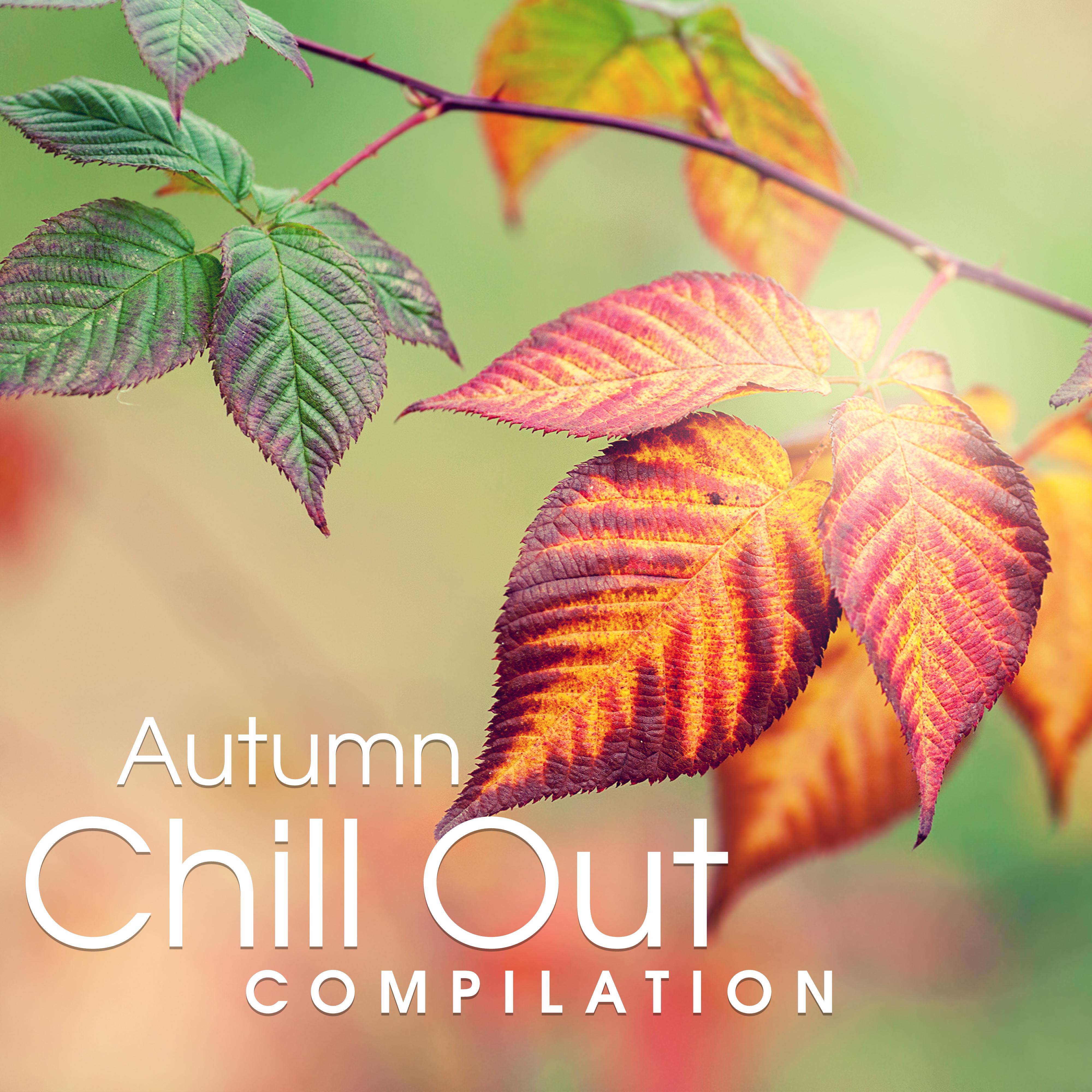 Autumn Chill Out Compilation – New Beats, Chill Out Music, Electronic Vibes, Relax