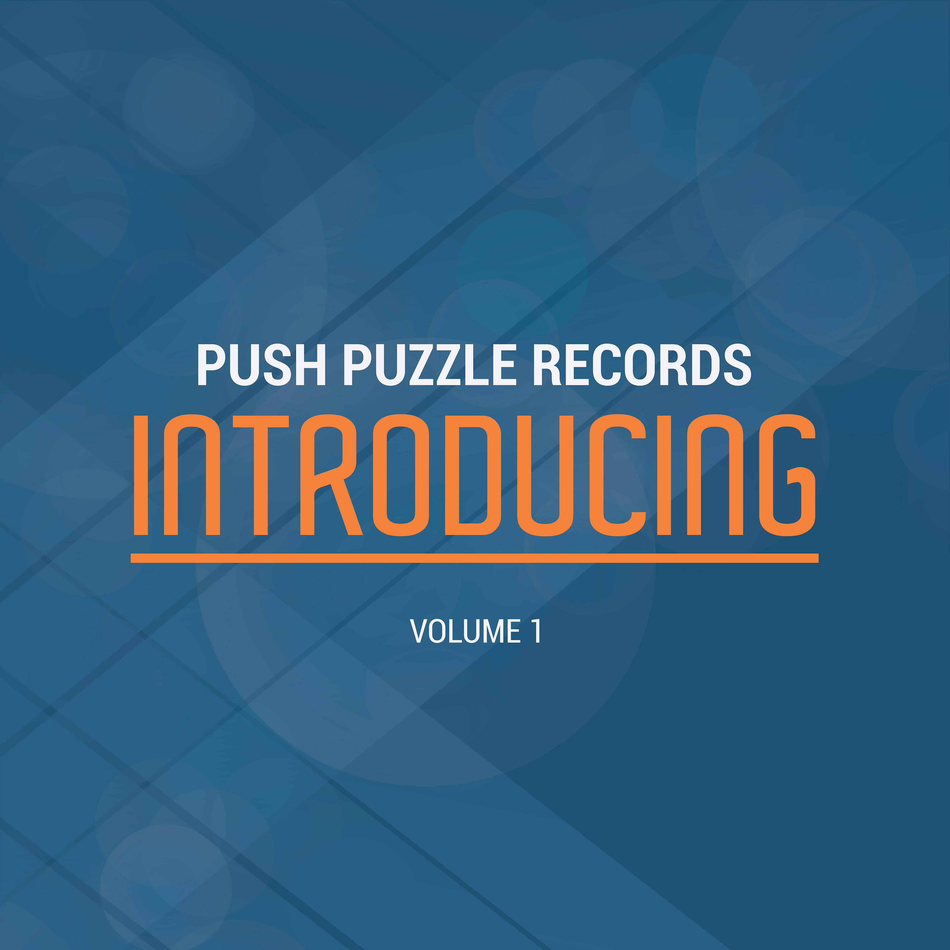 Push Puzzle Introducing, Vol .1