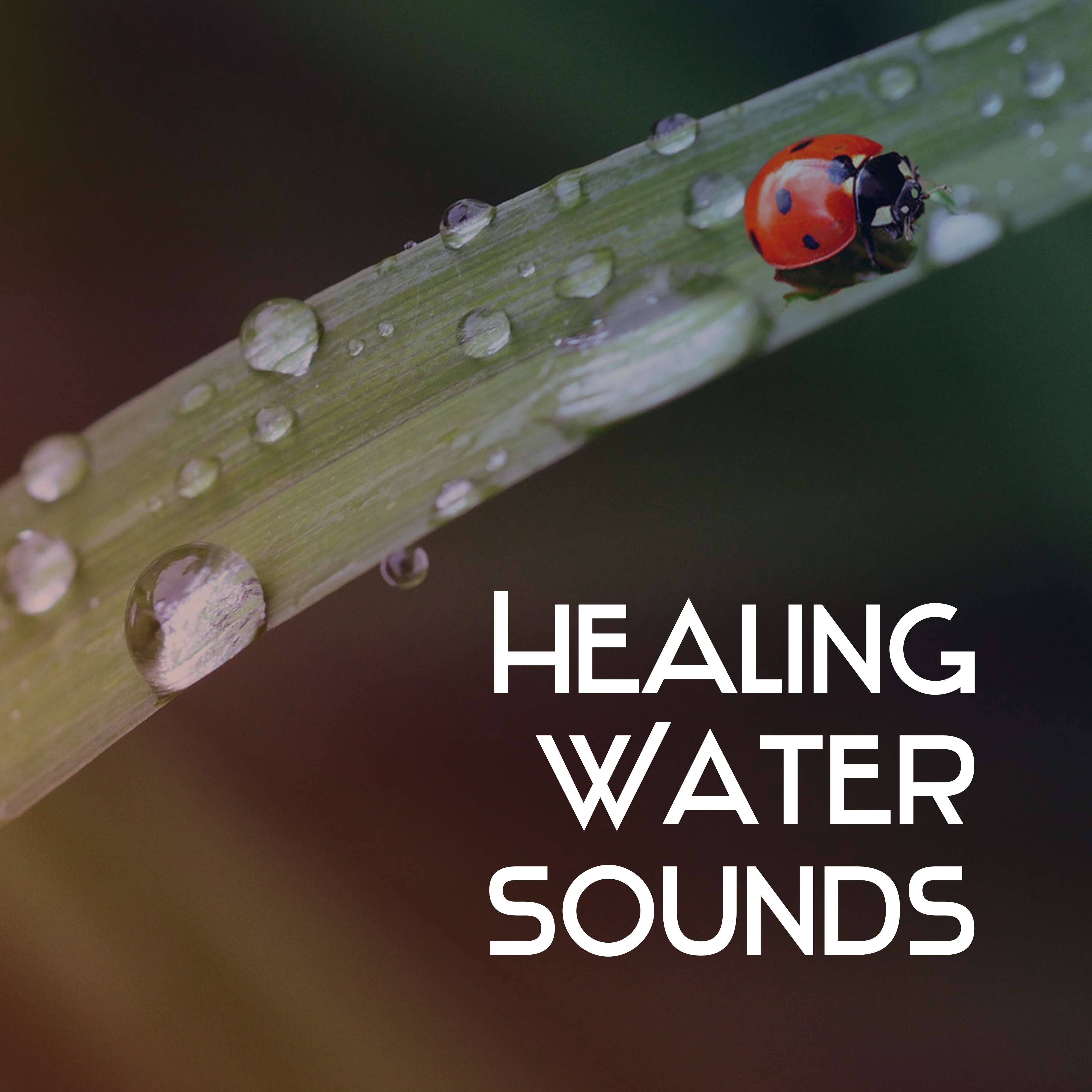 Healing Water Sounds – Nature Relaxation, Soothing Waves, Calm Mind, Peaceful Sounds