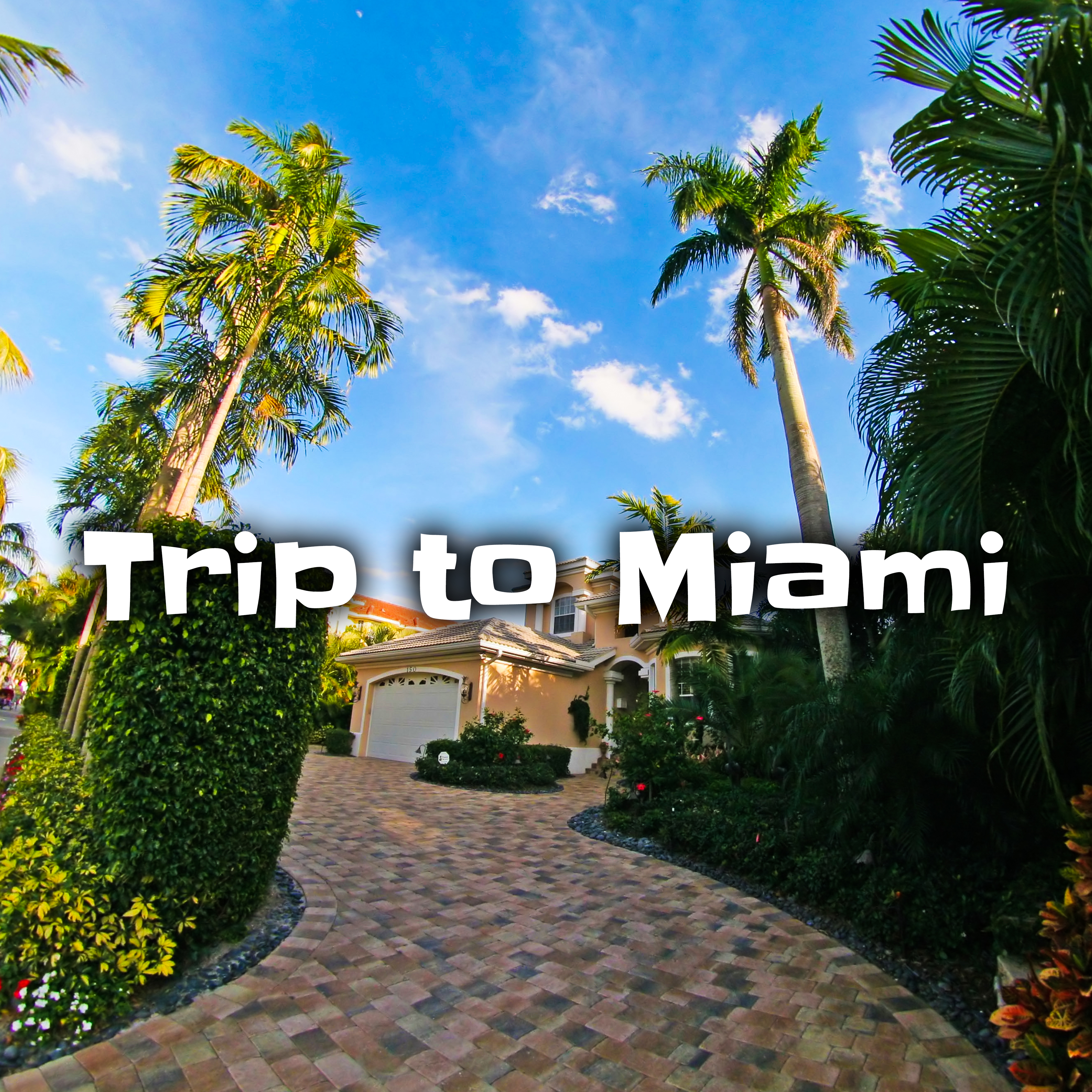 Trip to Miami – Summer Chill Out, Relax on the Beach, Holiday Vibes, Ambient Summer, Deep Vibes