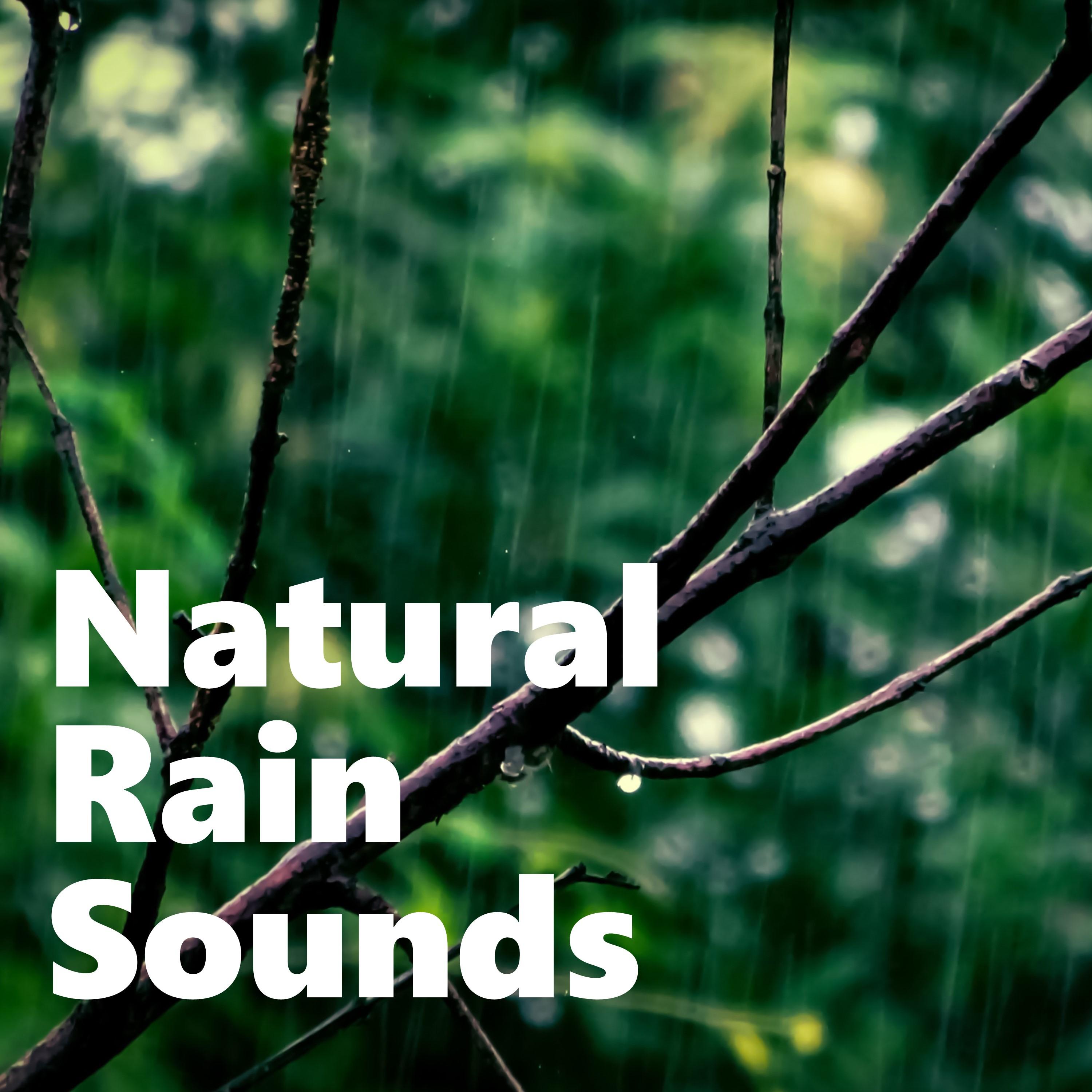 11 Real Rain and Nature Sounds, White Noise Music and Spa Relaxation