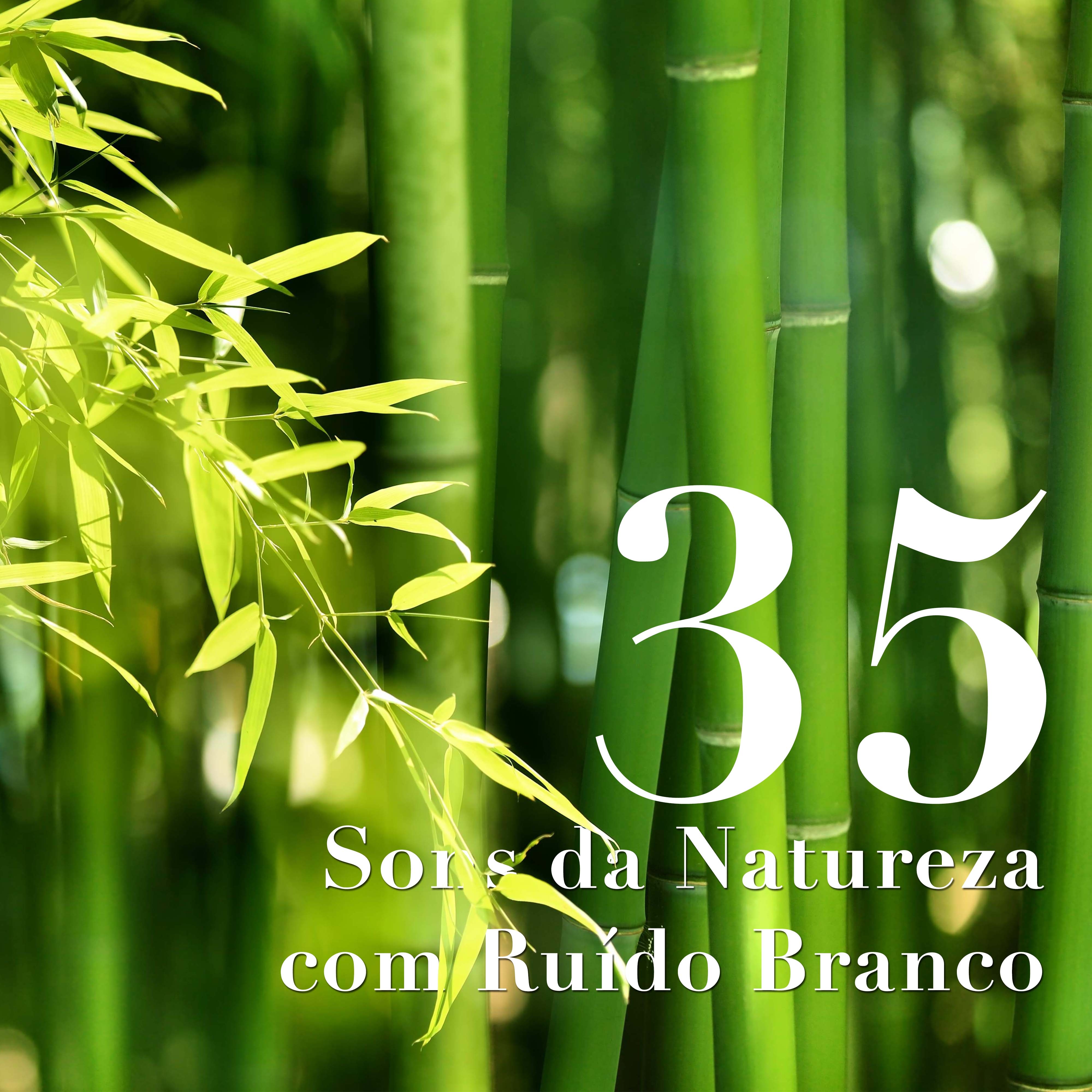 35 Sons da Natureza com Ruído Branco