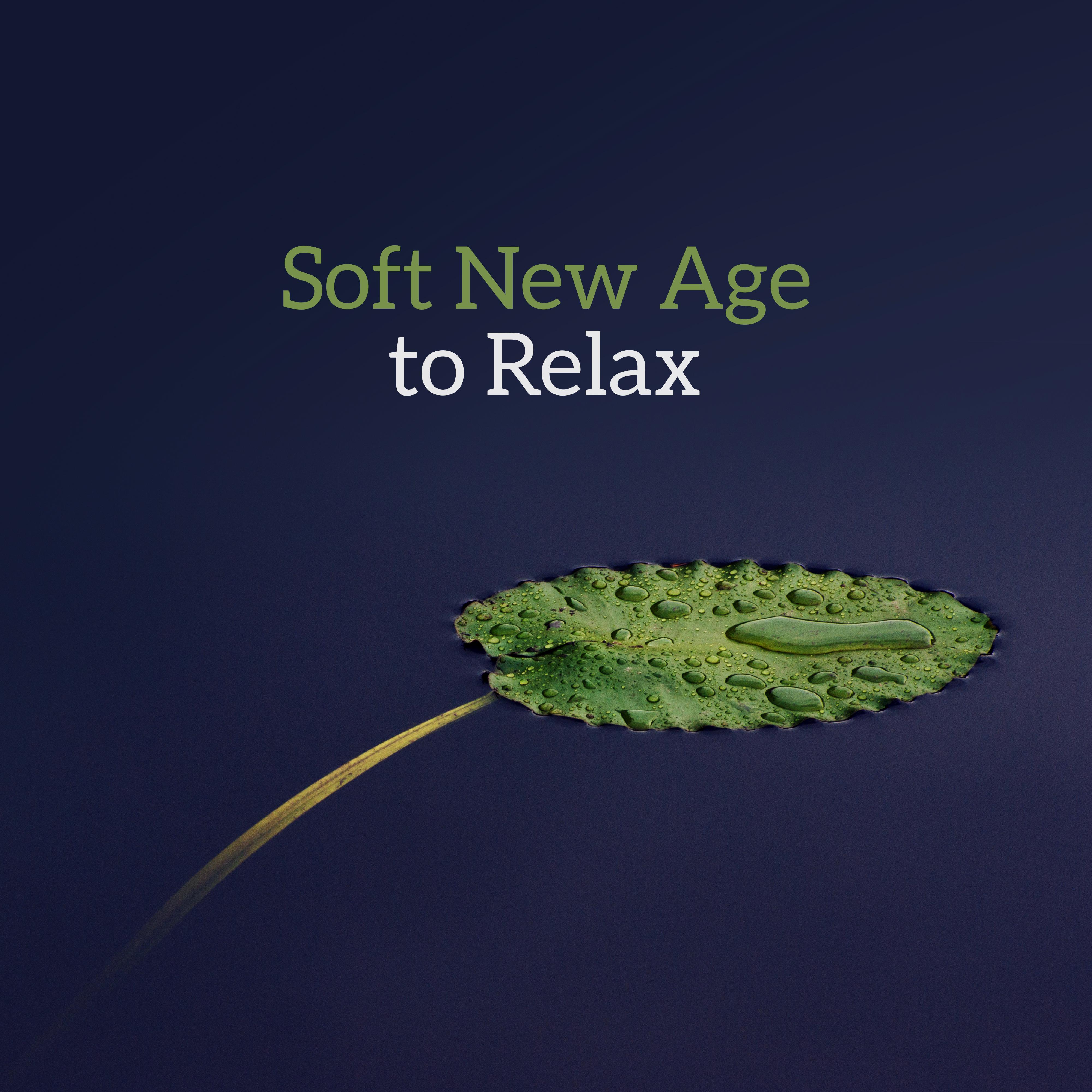 Soft New Age to Relax – Easy Listening, Wind Blows, Peaceful Music, Melodies to Relax, Rest All Day