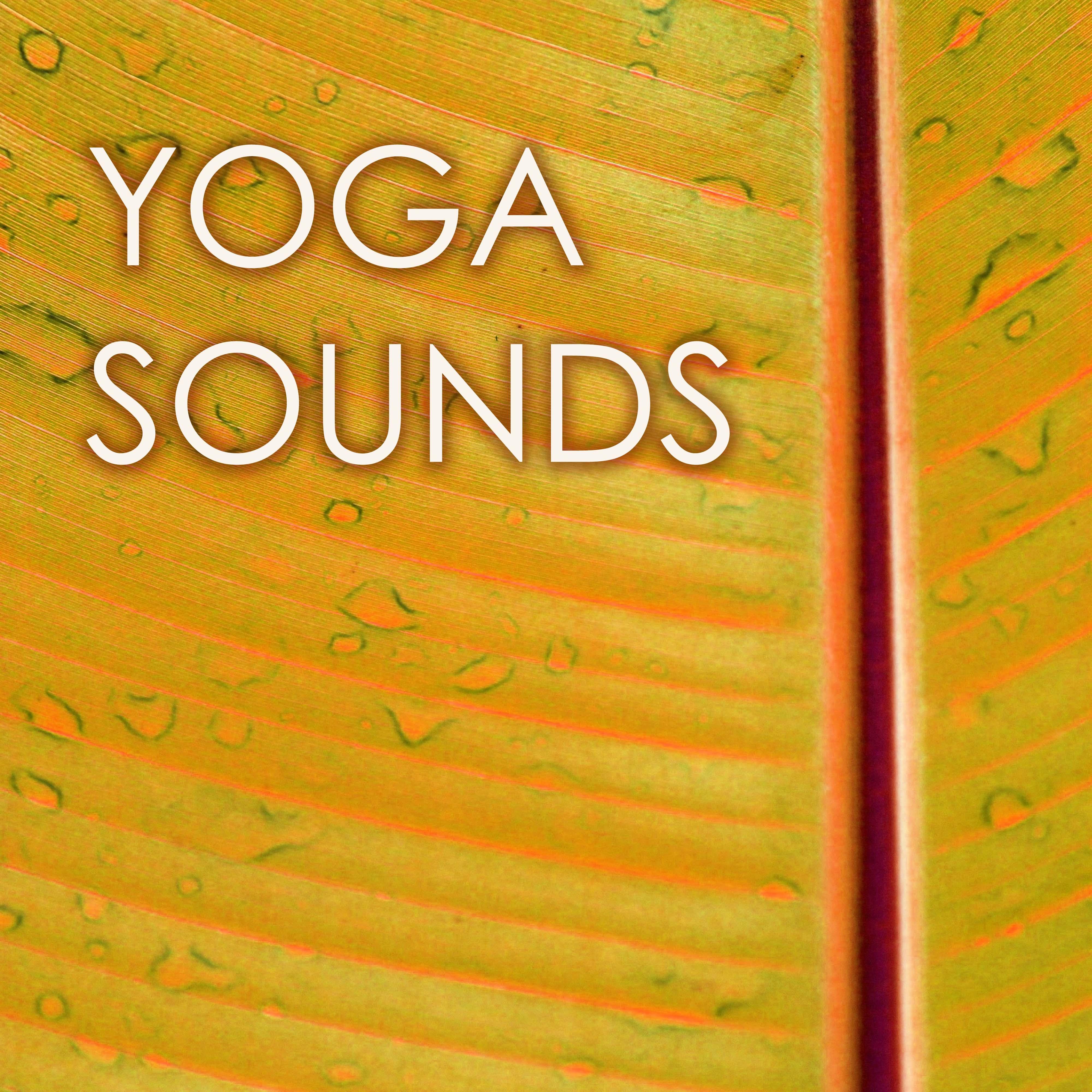 Yoga Sounds - Sun Salutation Music Collection