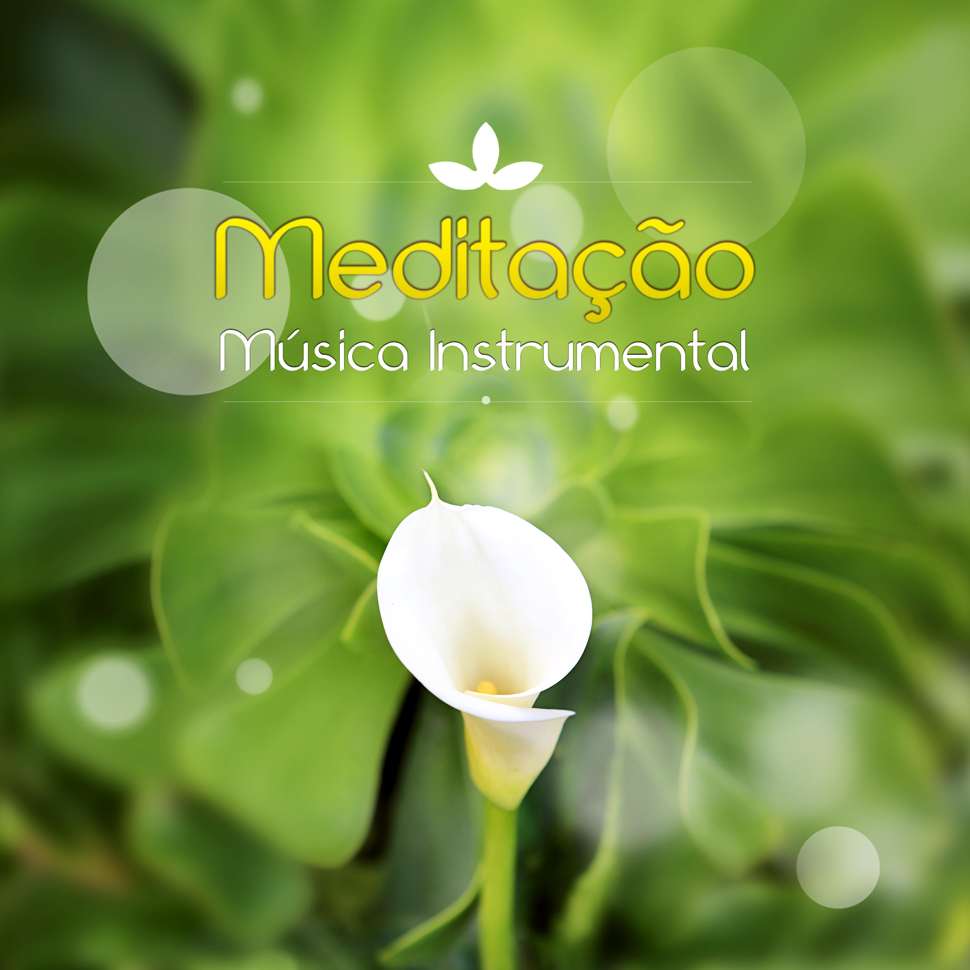 Meditação - Música Instrumental – Harmonia, Música de Flauta, Piano, Guitarra, Sons da Natureza, Musica Reiki, Zen, Yoga, Espiritualidade