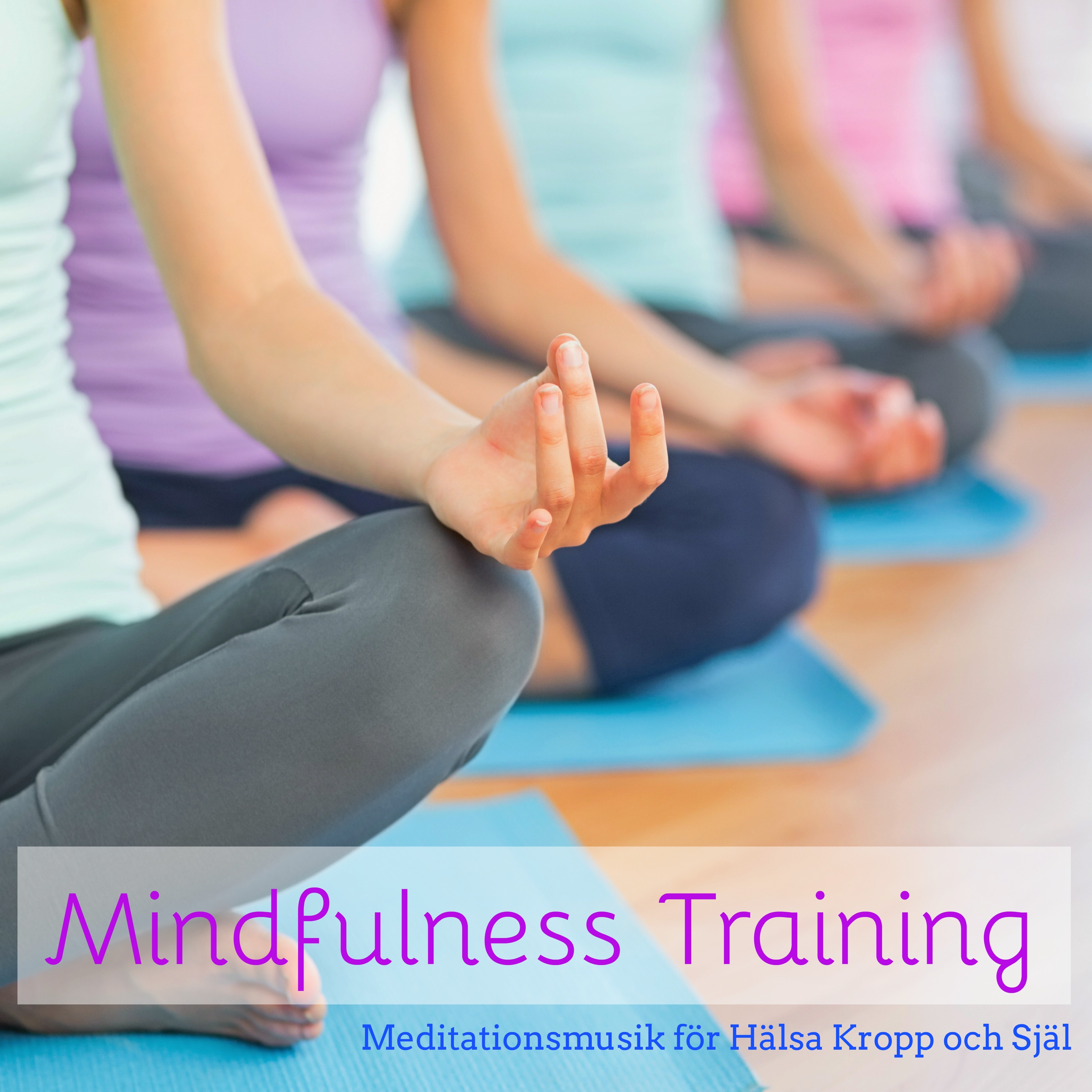Mindfulness Training - Meditationsmusik för Hälsa Kropp och Själ, Chillout Lounge Musik, Naturens och Instrumental Ljud