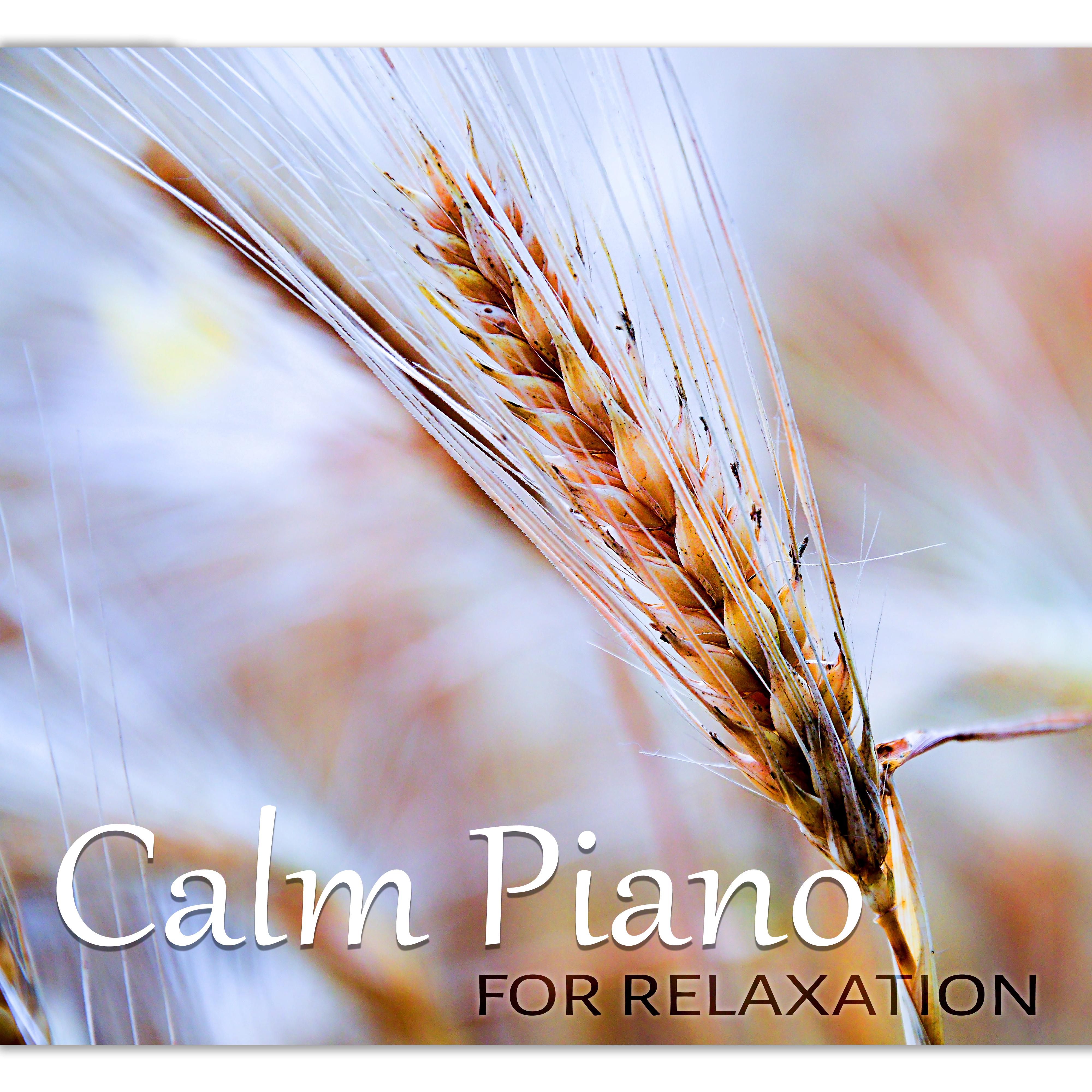 Calm Piano for Relaxation - Background Music for Dinner, Study, Sleep and Chill Lounge, Easy Listening Instrumentals, Reduce Stress, Just Relax
