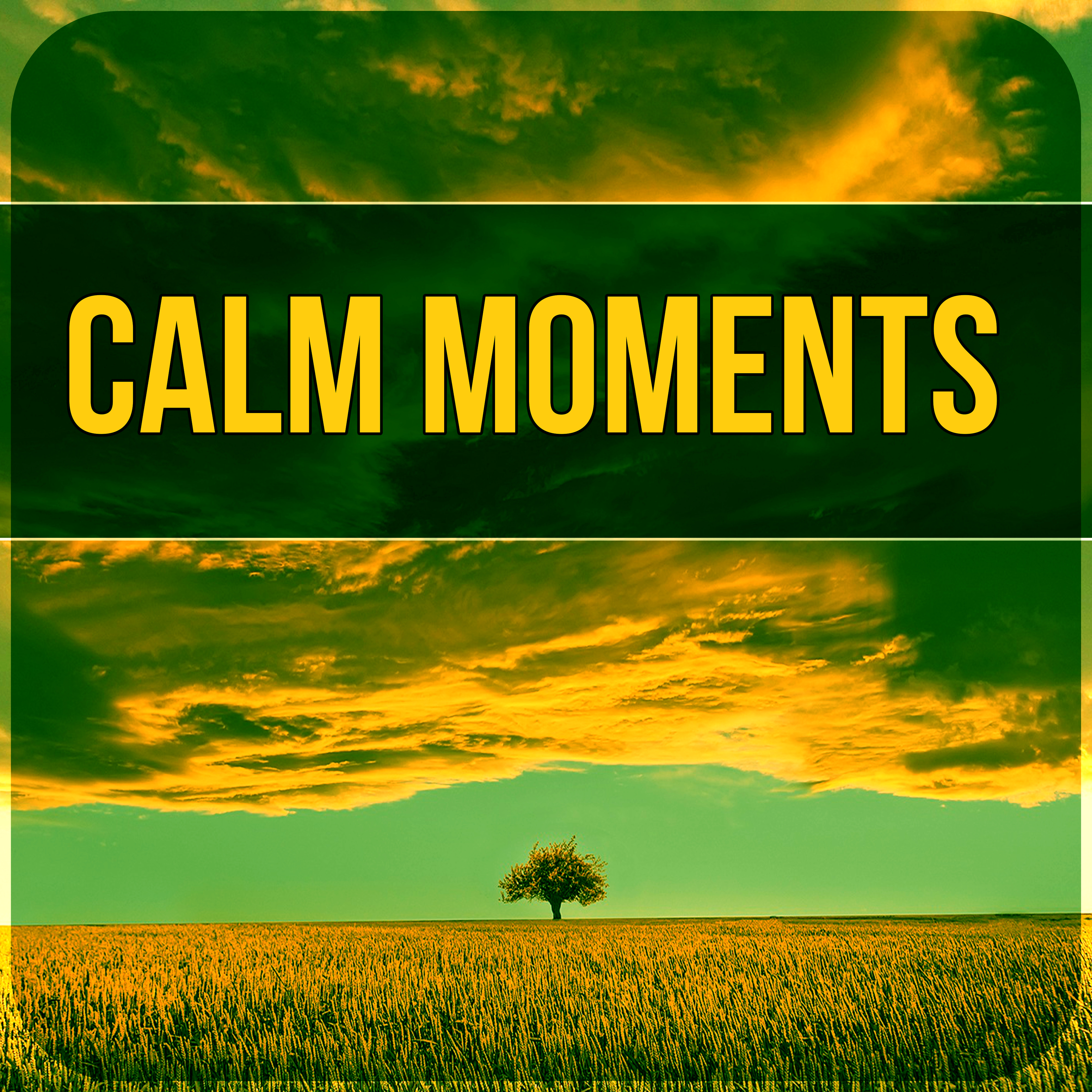 Calm Moments - New Age Music to Relax, Healing Sounds to Cure Insomnia, Chanting Om with Yoga Meditation, Calm Relaxation, Easy Listening