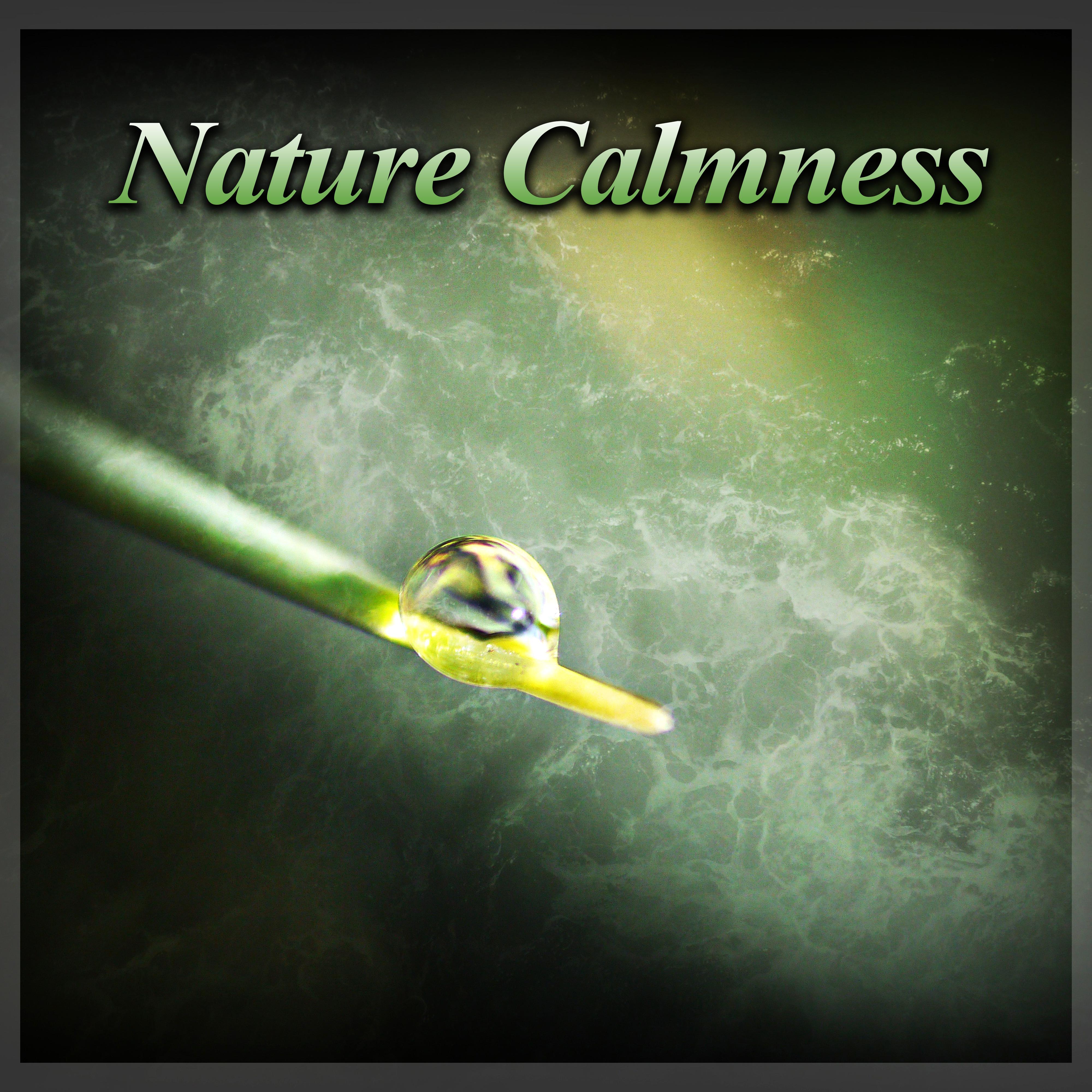 Nature Calmness – Relaxing Music, Soft Sounds to Rest, Soothing New Age Music