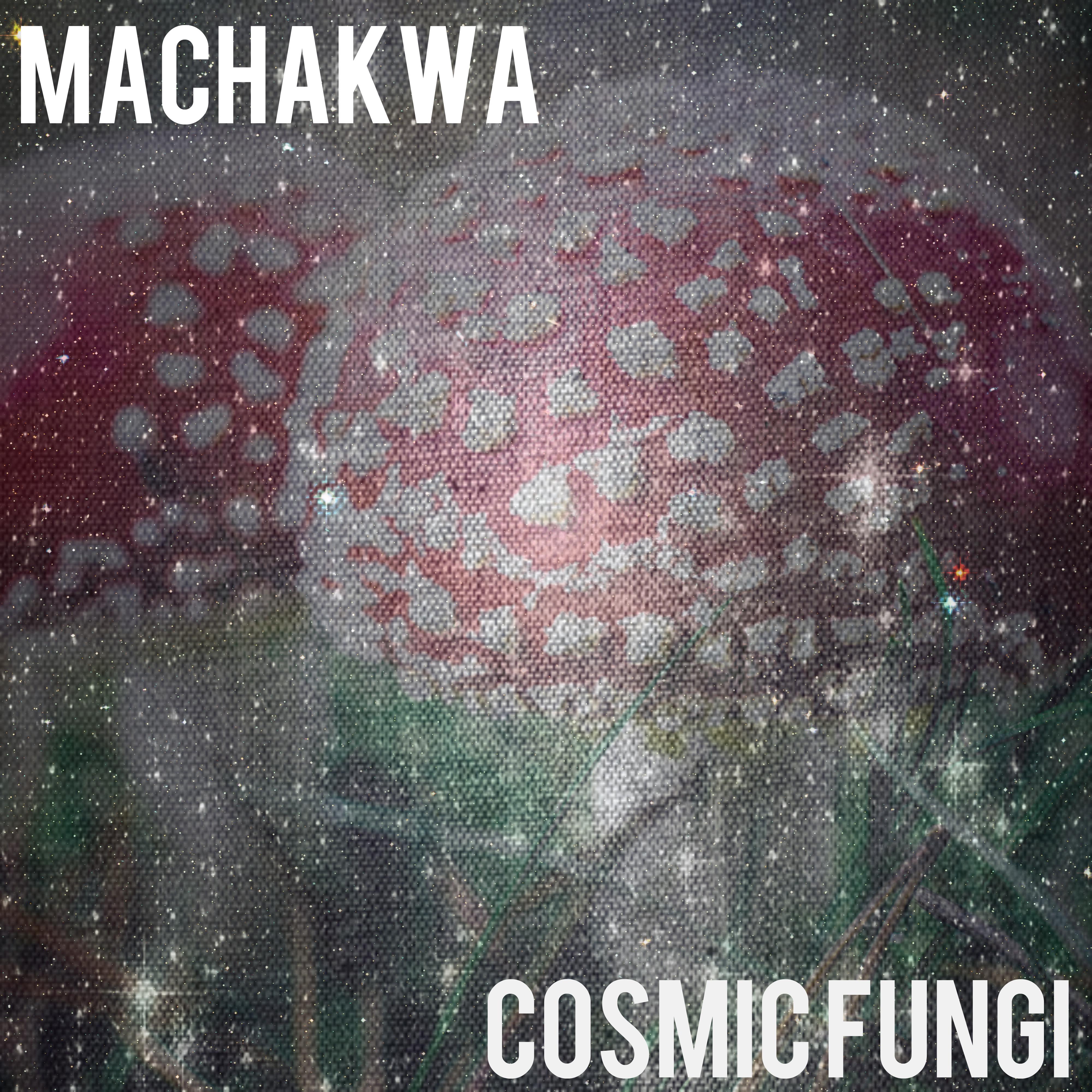 Cosmic Fungi