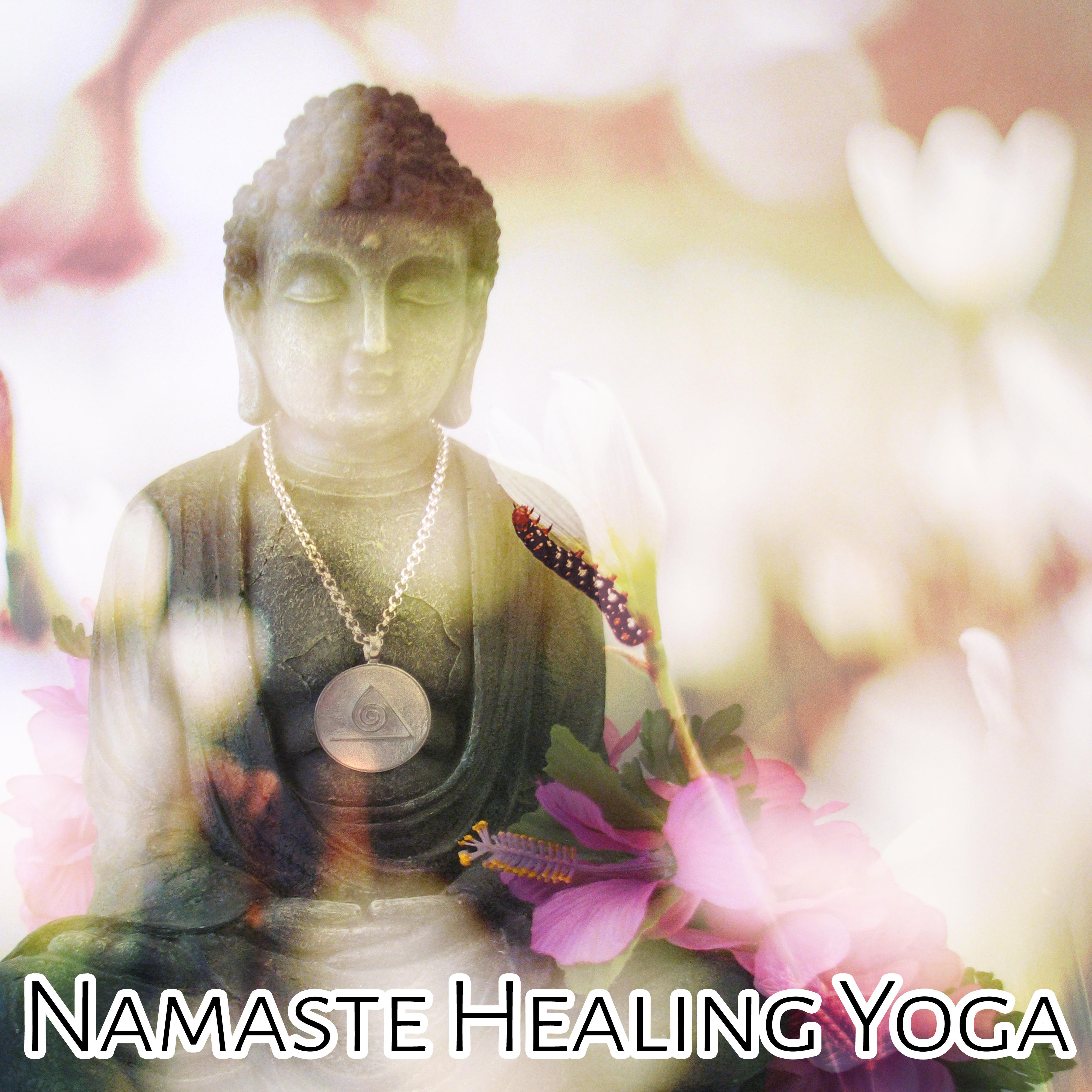 Namaste Healing Yoga - Zen Music for Deep Therapy & Awakening, Calm Nature Sounds, Relax, Spa, Morning Meditation