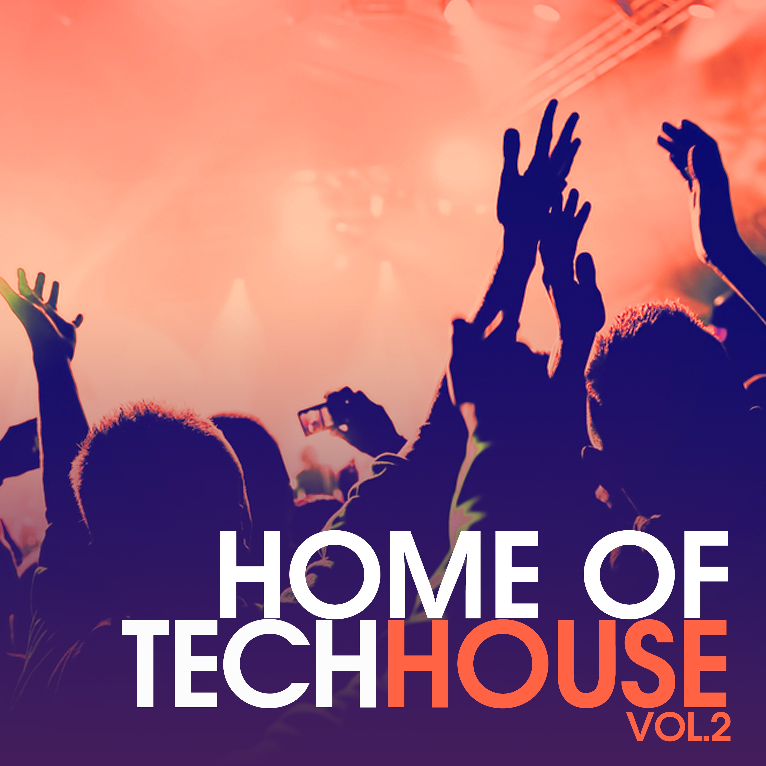 Home of Techhouse, Vol. 2