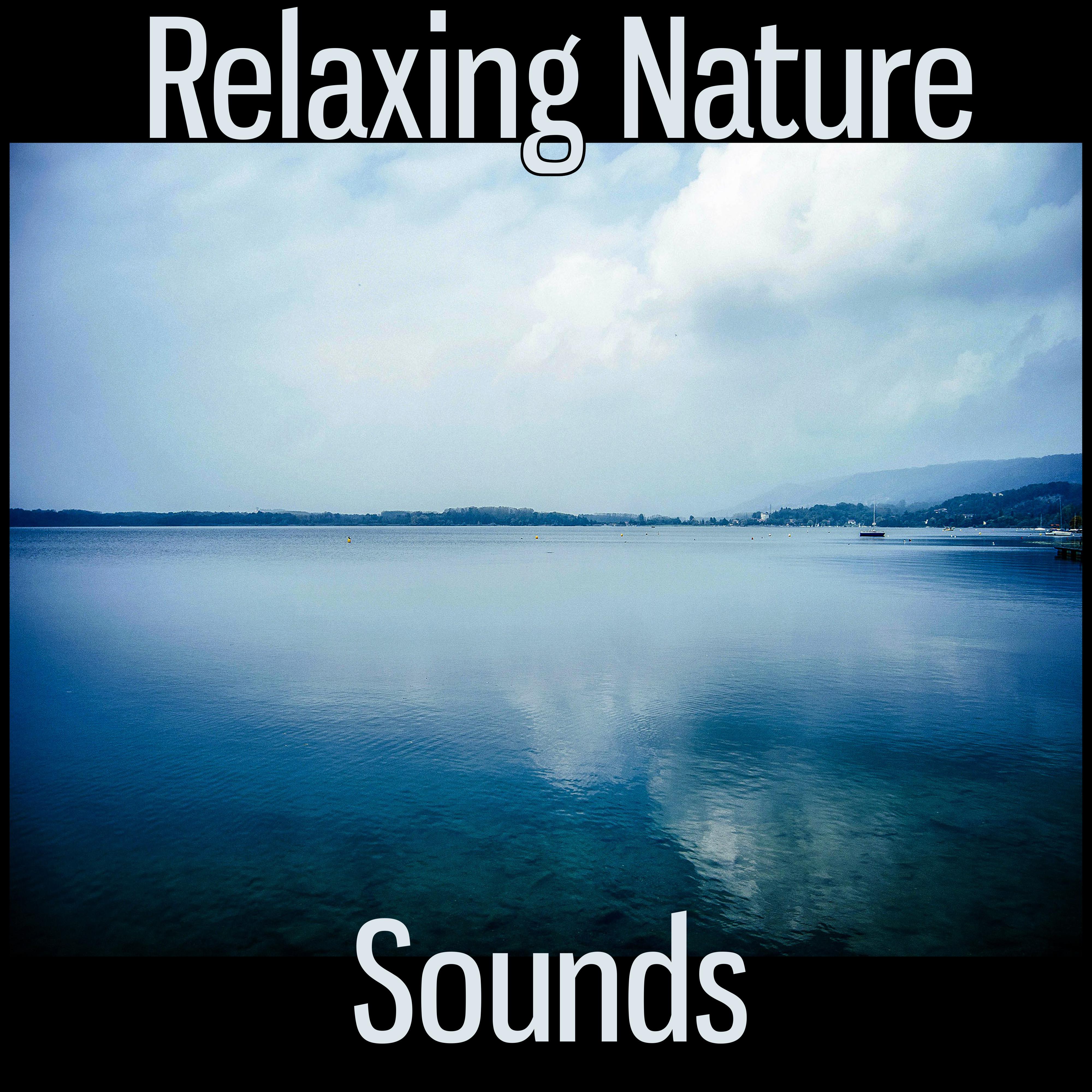 Relaxing Nature Sounds – Nature Sounds to Help You Relax, Easy Listening, Sad Piano Music, Inspirational Music, Beautiful Nature Sounds, Total Relax