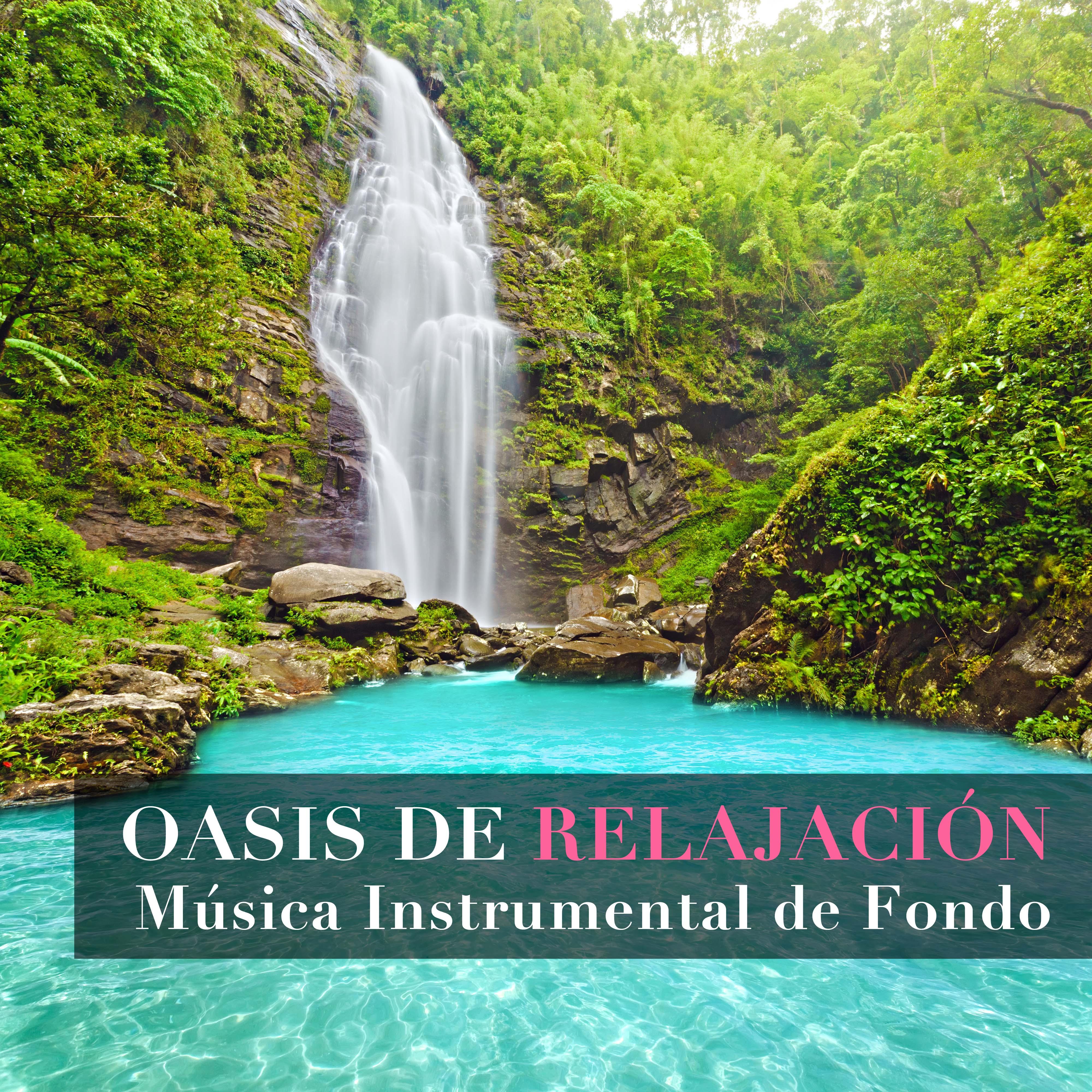 Oasis de Relajación - Música Instrumental de Fondo New Age para Calmar Ira, Estrés y Ansiedad