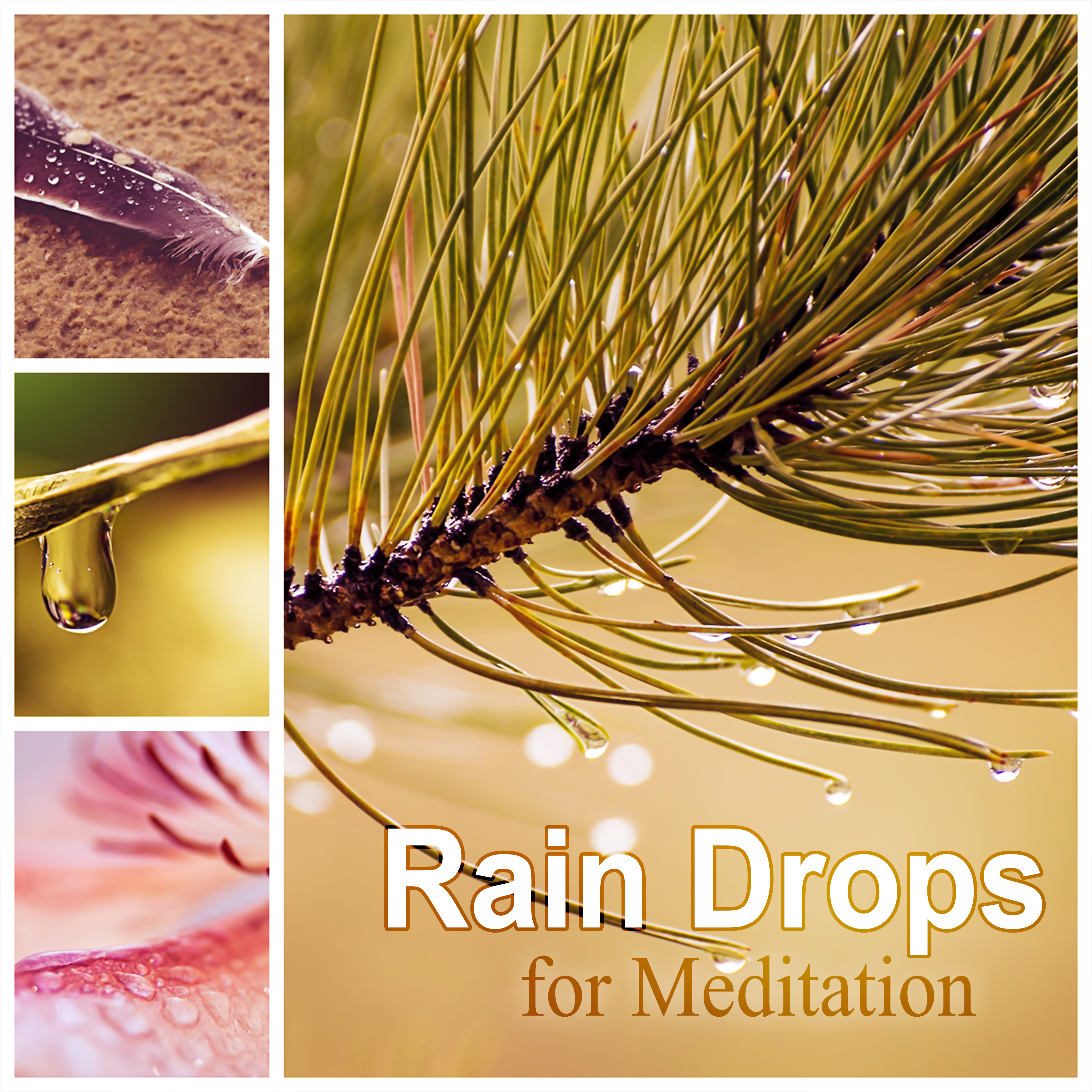 Rain Drops for Meditation – White Noise for Deep Sleep, Relaxing Nature Sounds to Calm Down, Yoga & Meditation, Natural Sleep Aids, Rain Sounds