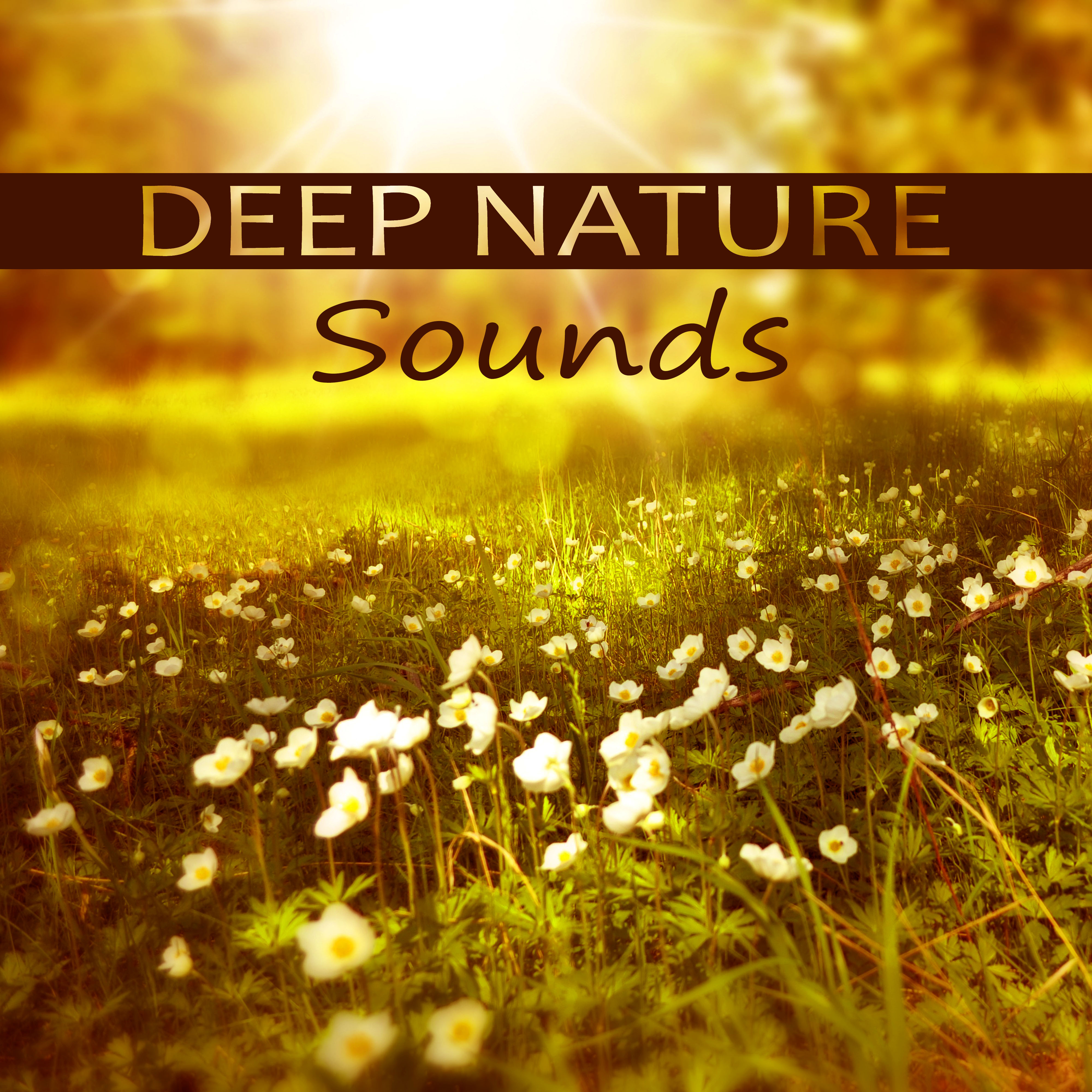 Deep Nature Sounds – Calm Sounds for Meditation, Soft Music for Relaxation, Nature Sounds, Inspiring Music