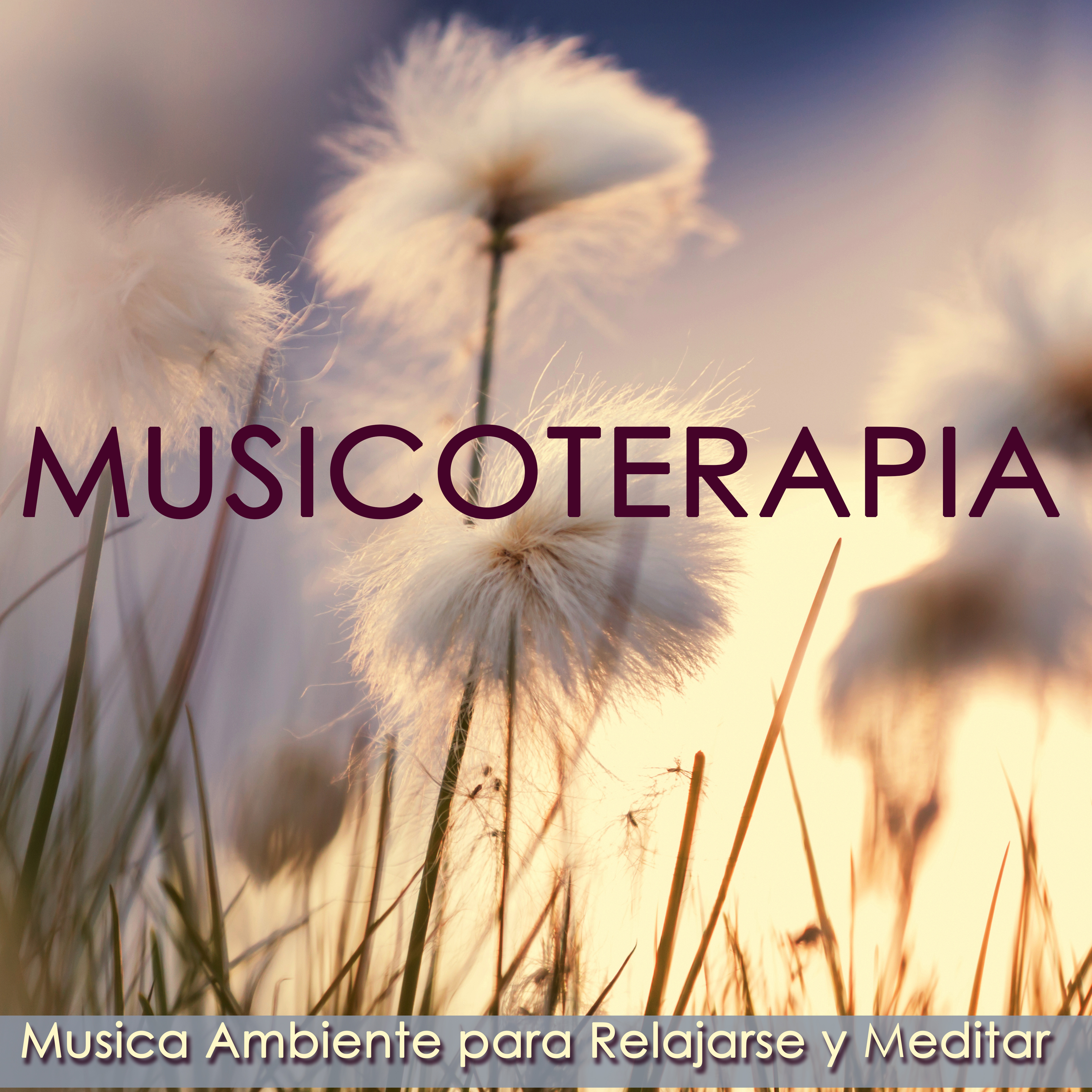 Musicoterapia – Musica Ambiente para Relajarse y Meditar