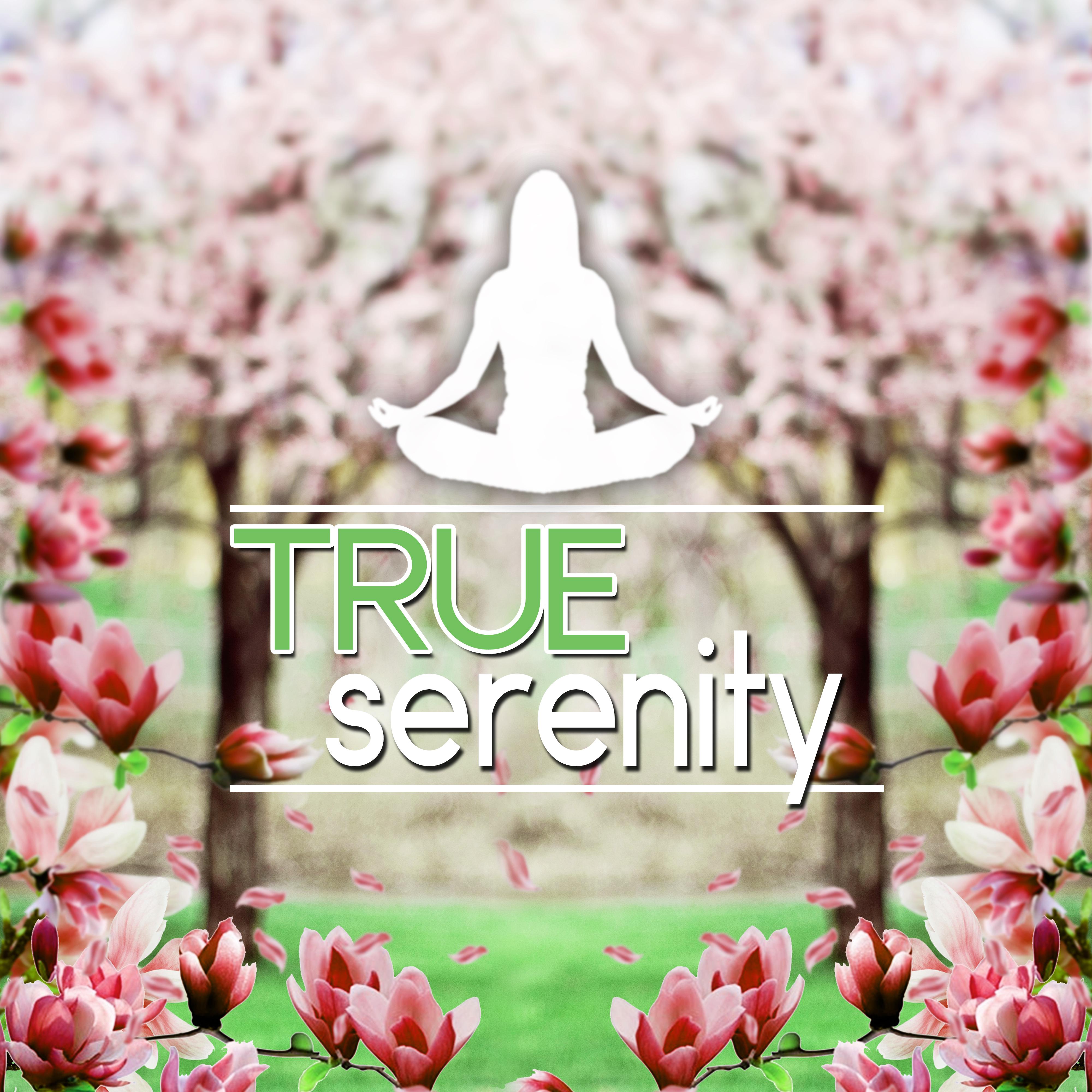 True Serenity - Serenity Music, Free Mind, Rest, Time to Reading Books, Deep Meditation, White Noise