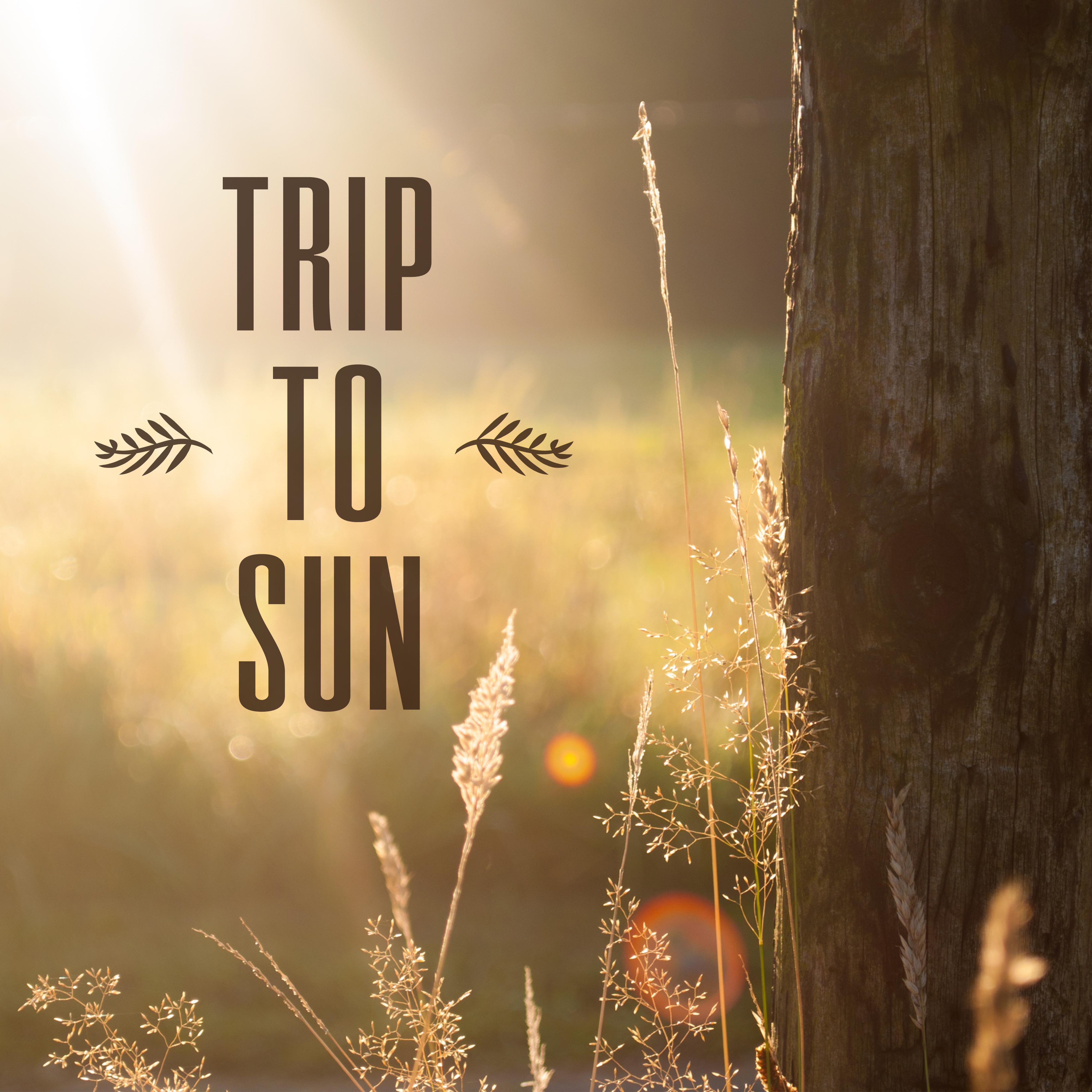 Trip to Sun – Best Holiday Chill Out Music, **** Vibes, Drinks Under Palms, Sea, Sand, Deep Sun, Beach Chill, Relaxation