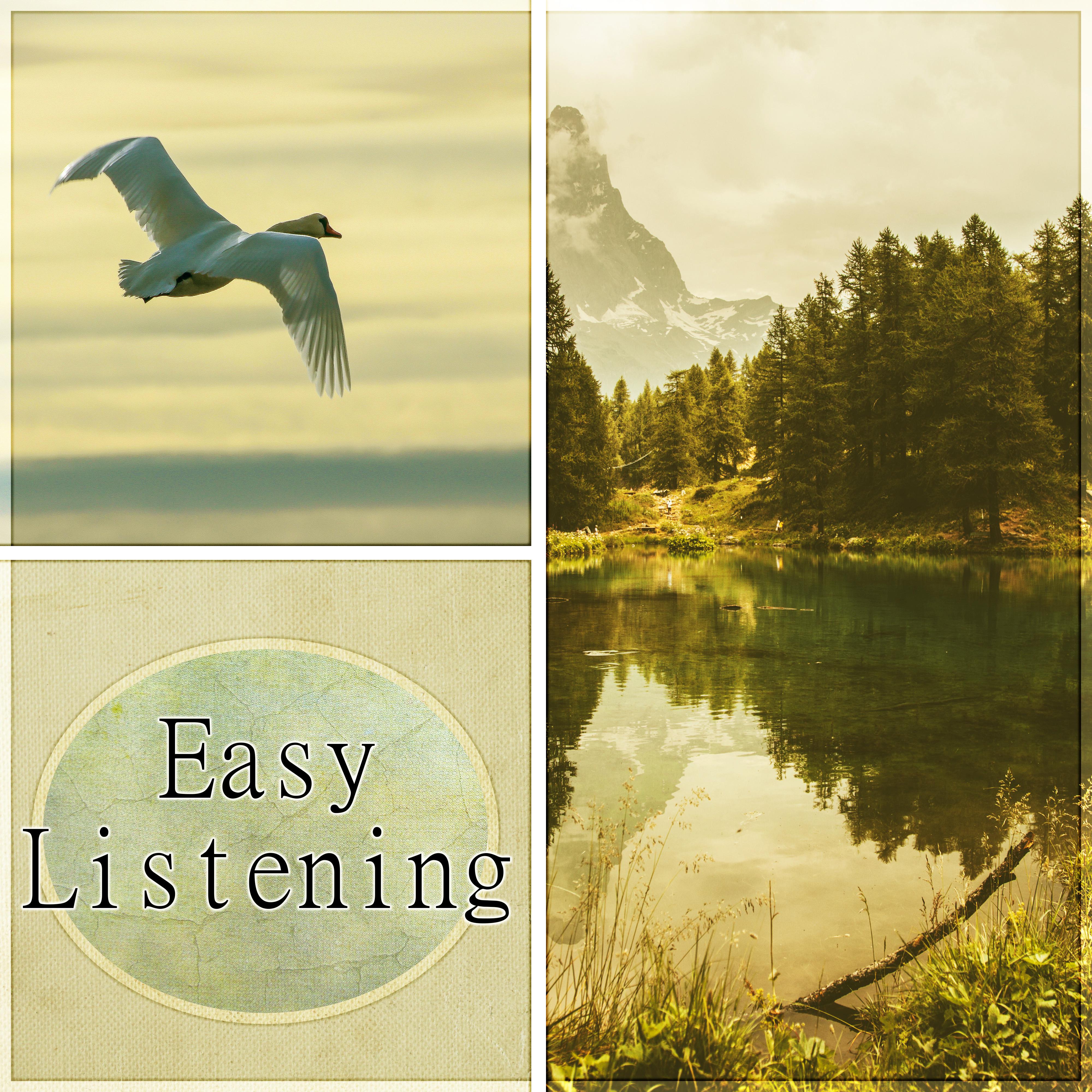 Easy Listening - Acoustic Guitar Music, Relaxing Music to Wind Down, Study, Relax and Reduce Stress