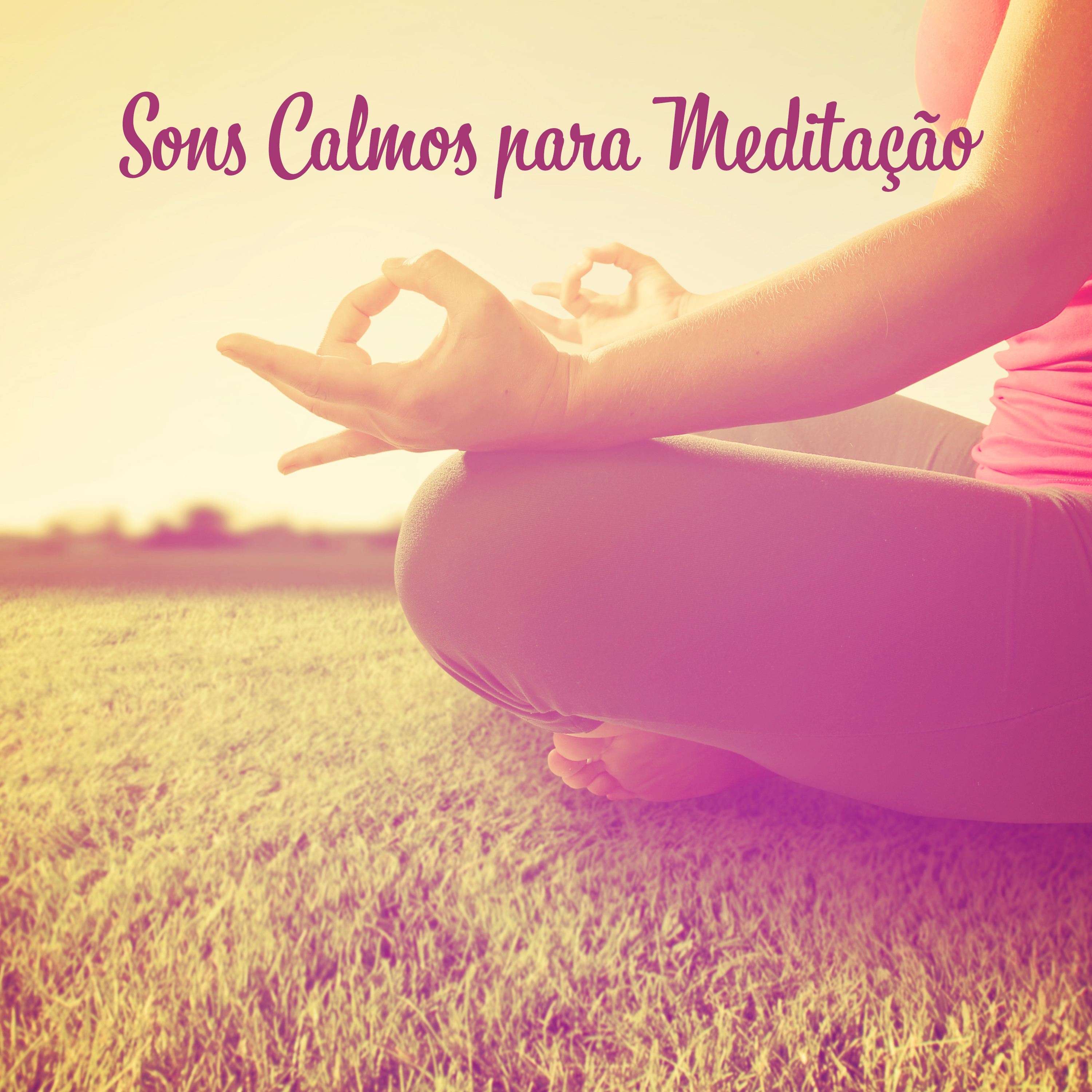 Sons Calmos para Meditação (Sons da Natureza para Relaxamento, Treinamento de Ioga, Chuva Relaxante)
