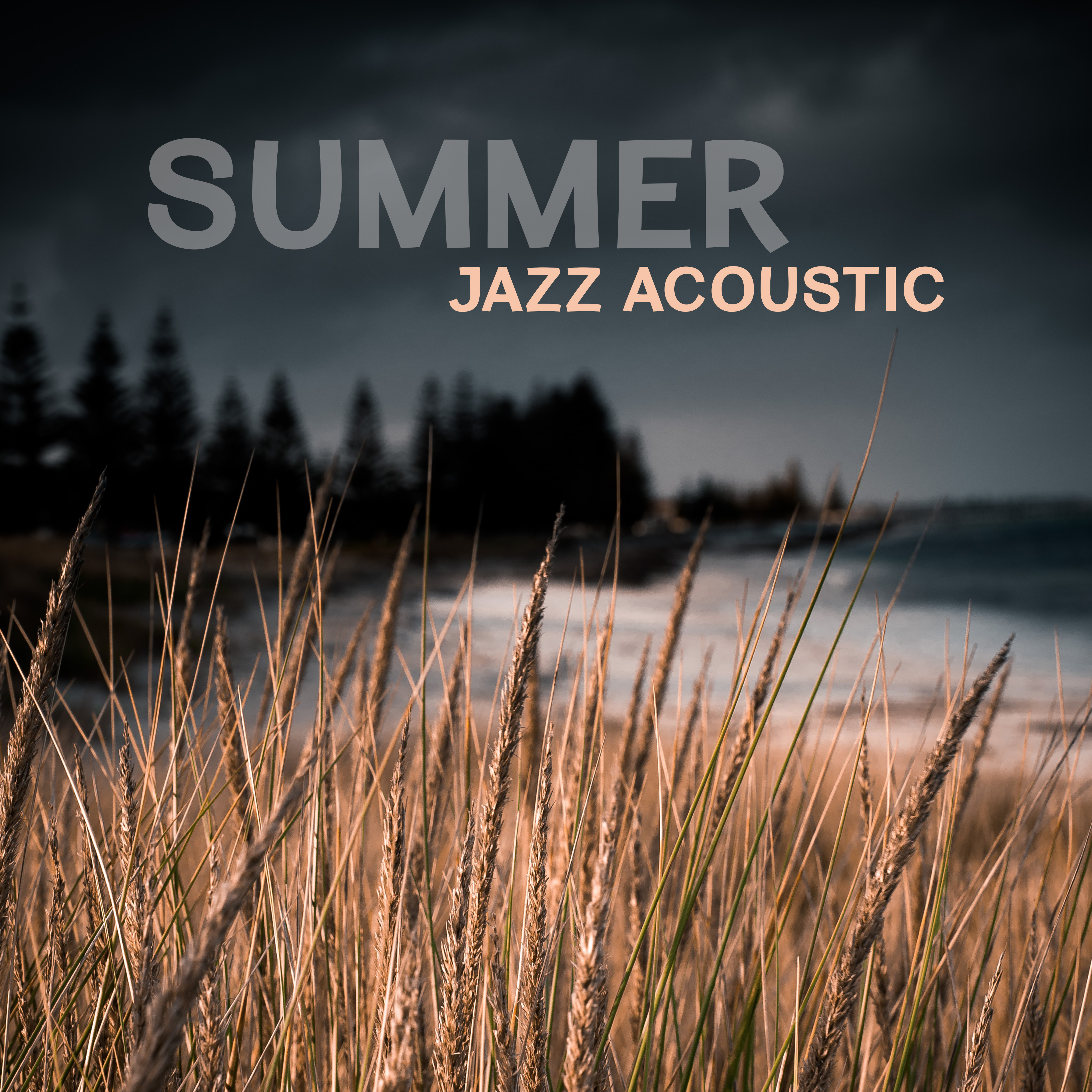 Summer Jazz Acoustic