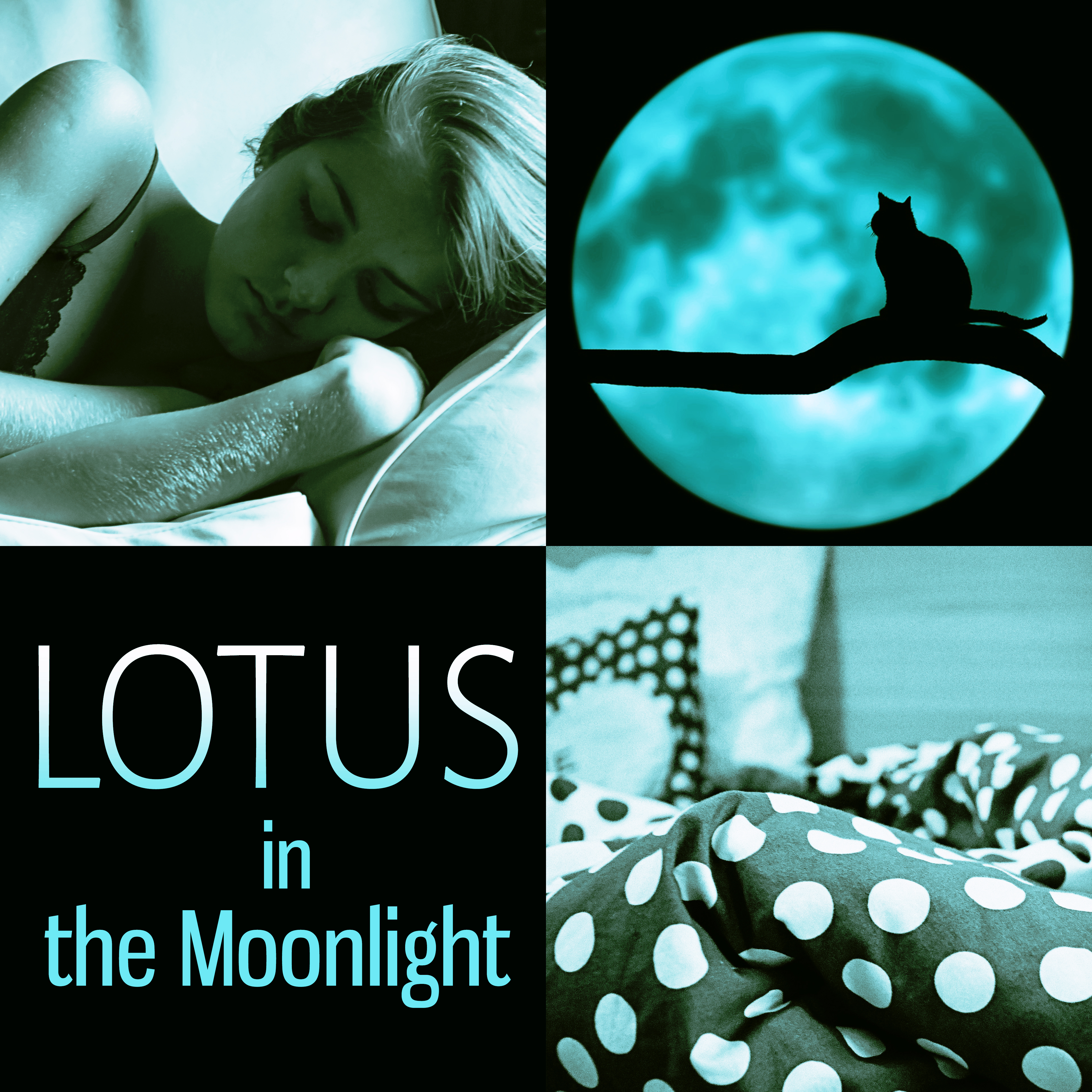 Lotus in the Moonlight - Relaxing Sounds and Long Sleeping Songs to Help You Relax at Night, Healing Through Sound and Touch, New Age Music and Nature Sounds for Stress Relief