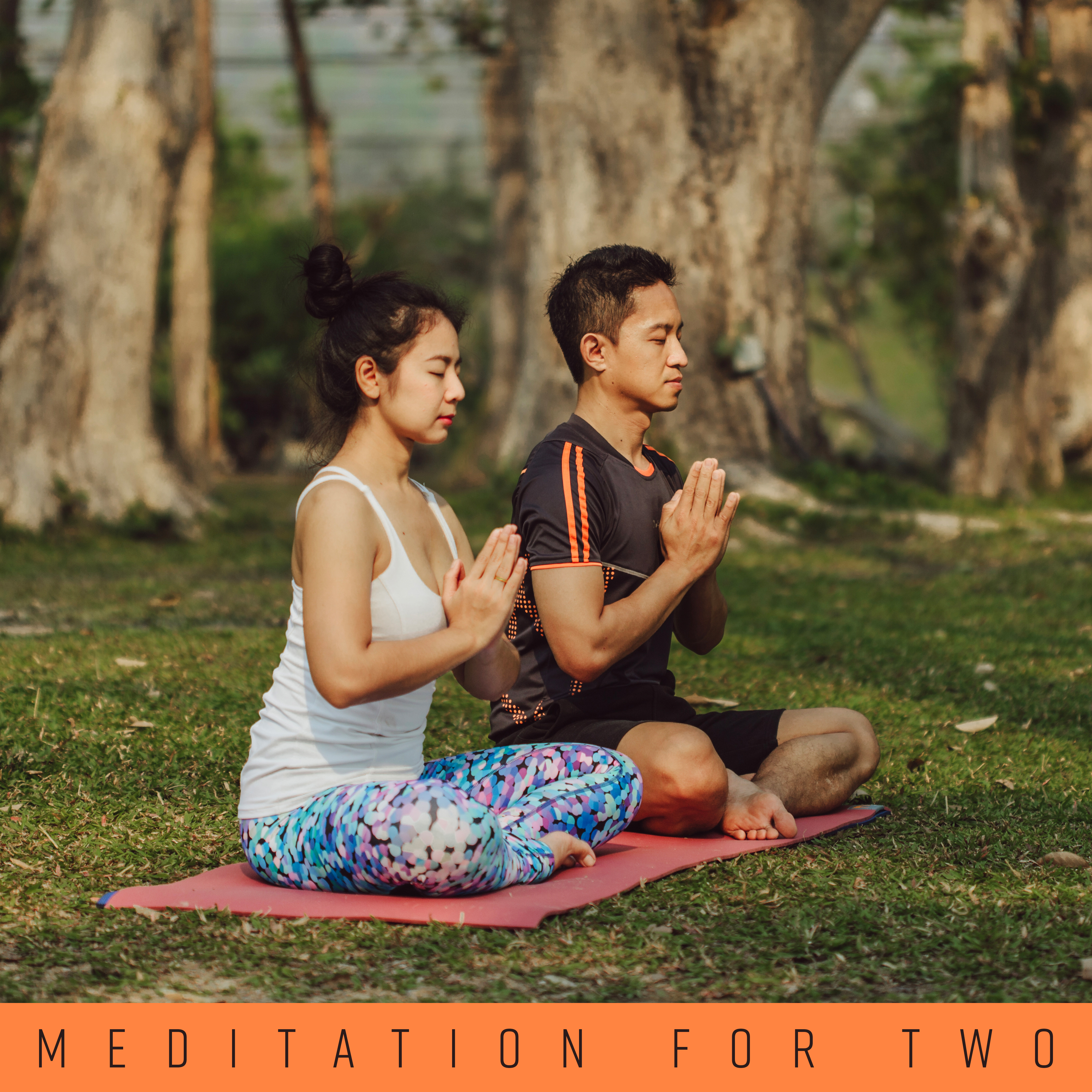 Meditation for Two