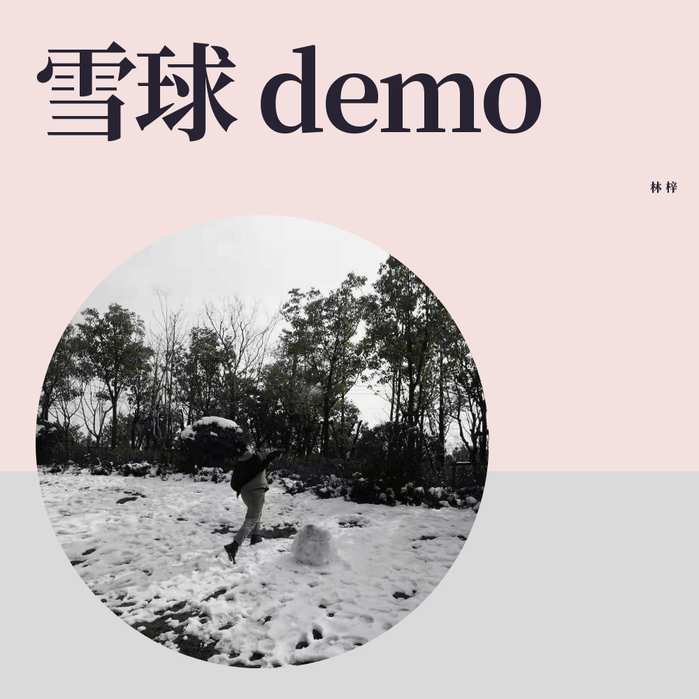 雪球 demo