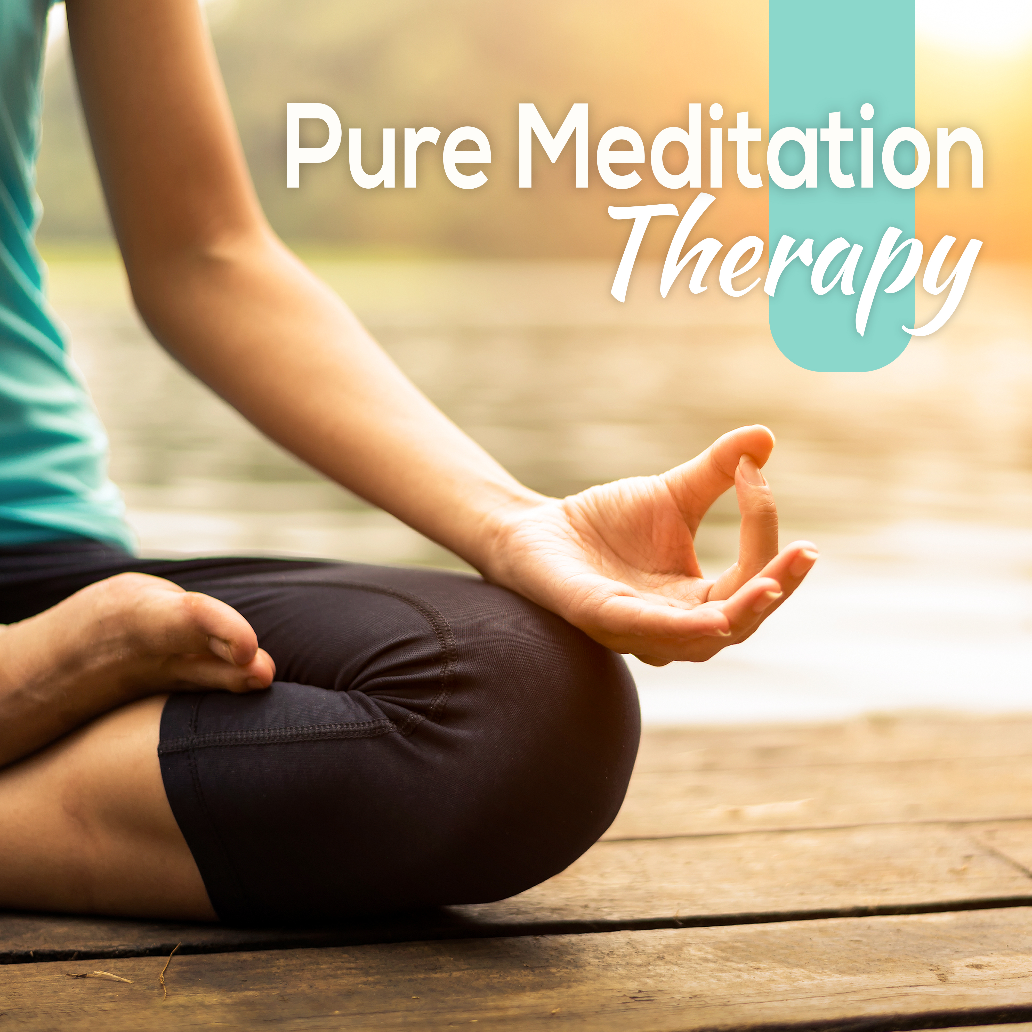 Pure Meditation Therapy
