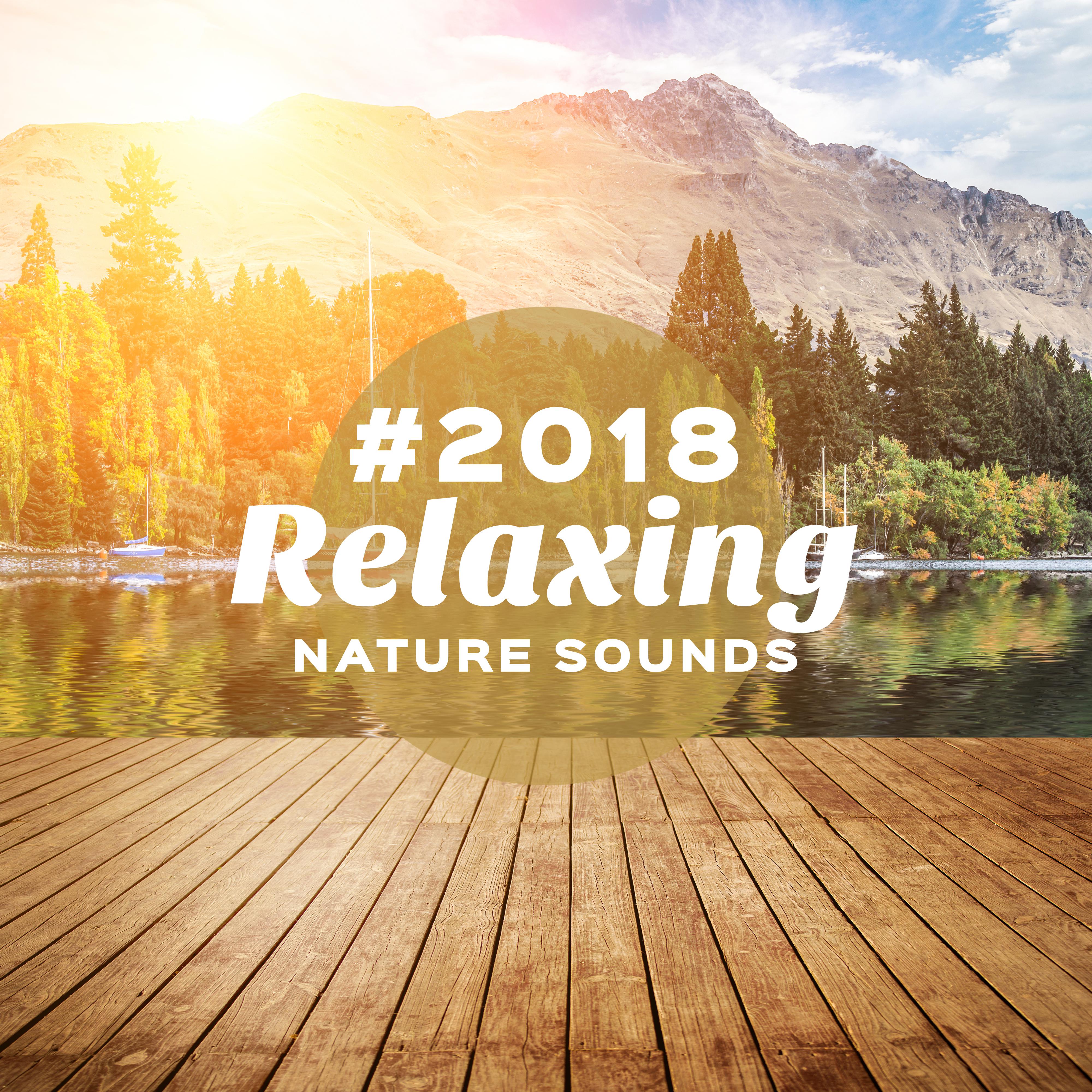 #2018 Relaxing Nature Sounds