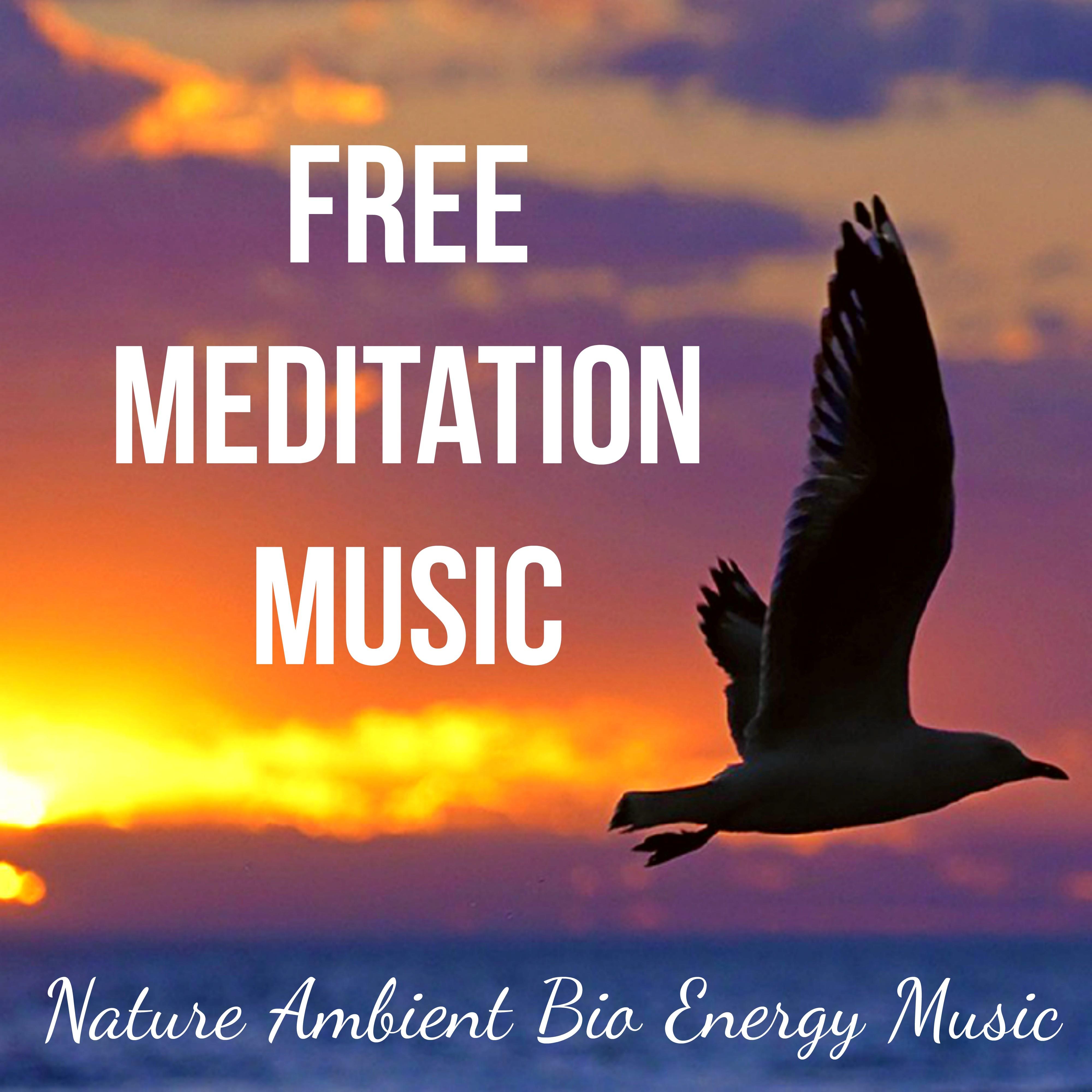 Free Meditation Music - Nature Ambient Bio Energy Music for Stress Relief Deep Breath Sleep Therapy