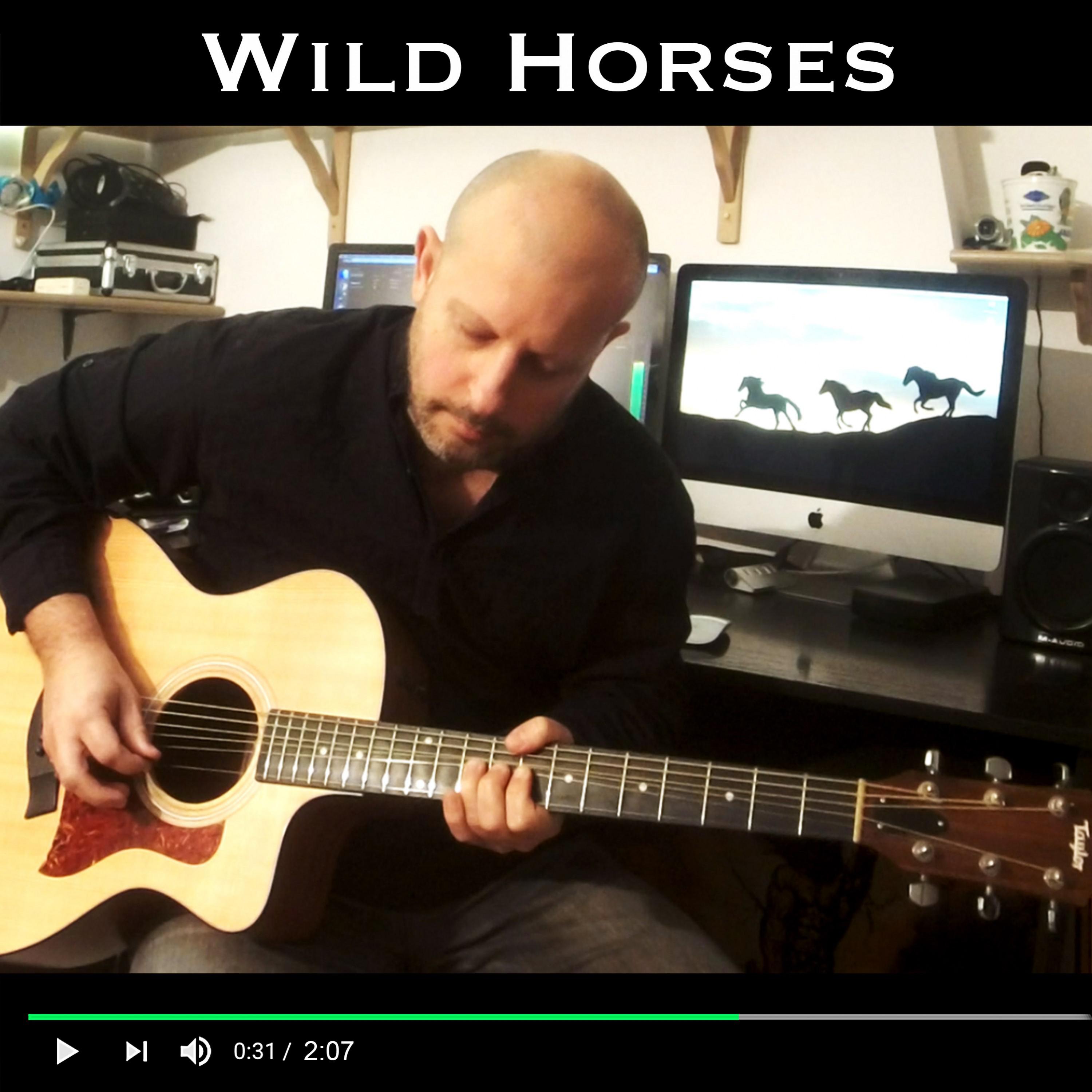 Wild Horses