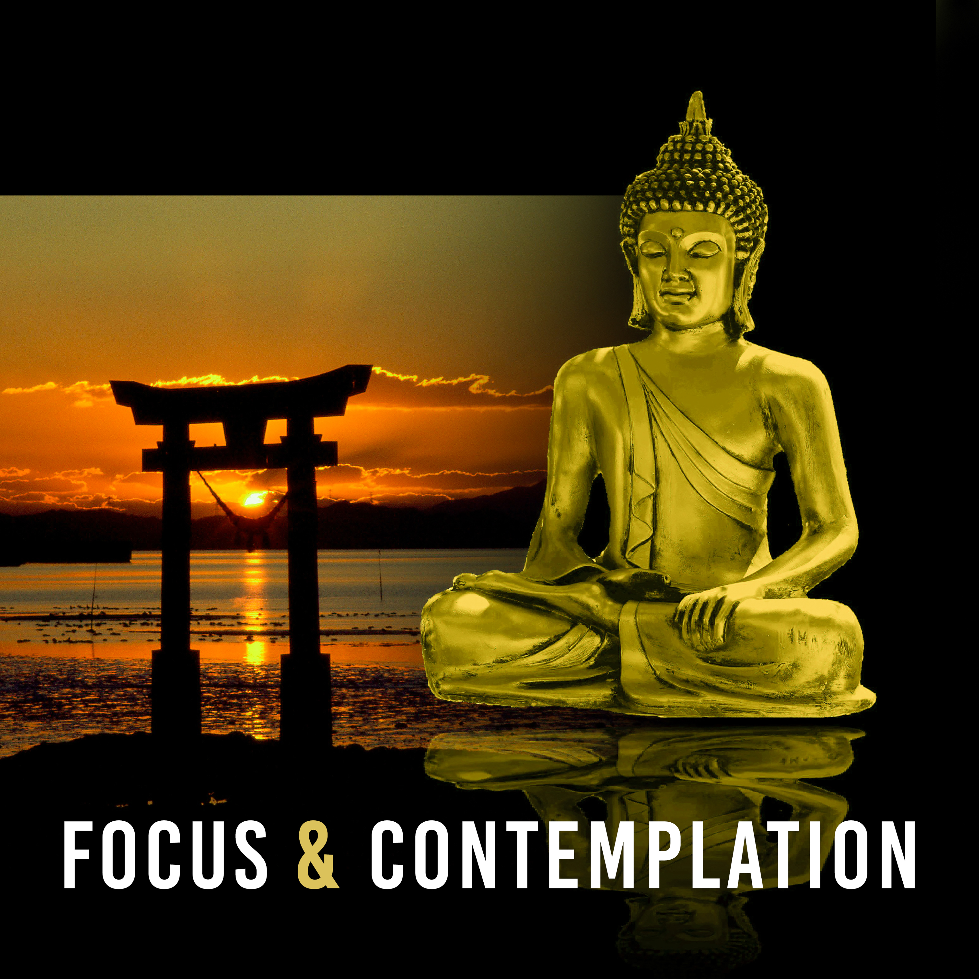 Focus & Contemplation – Nature Sounds for Meditation, Sea Waves, Singing Birds, Restful Piano, Better Concentration, Calm Mind