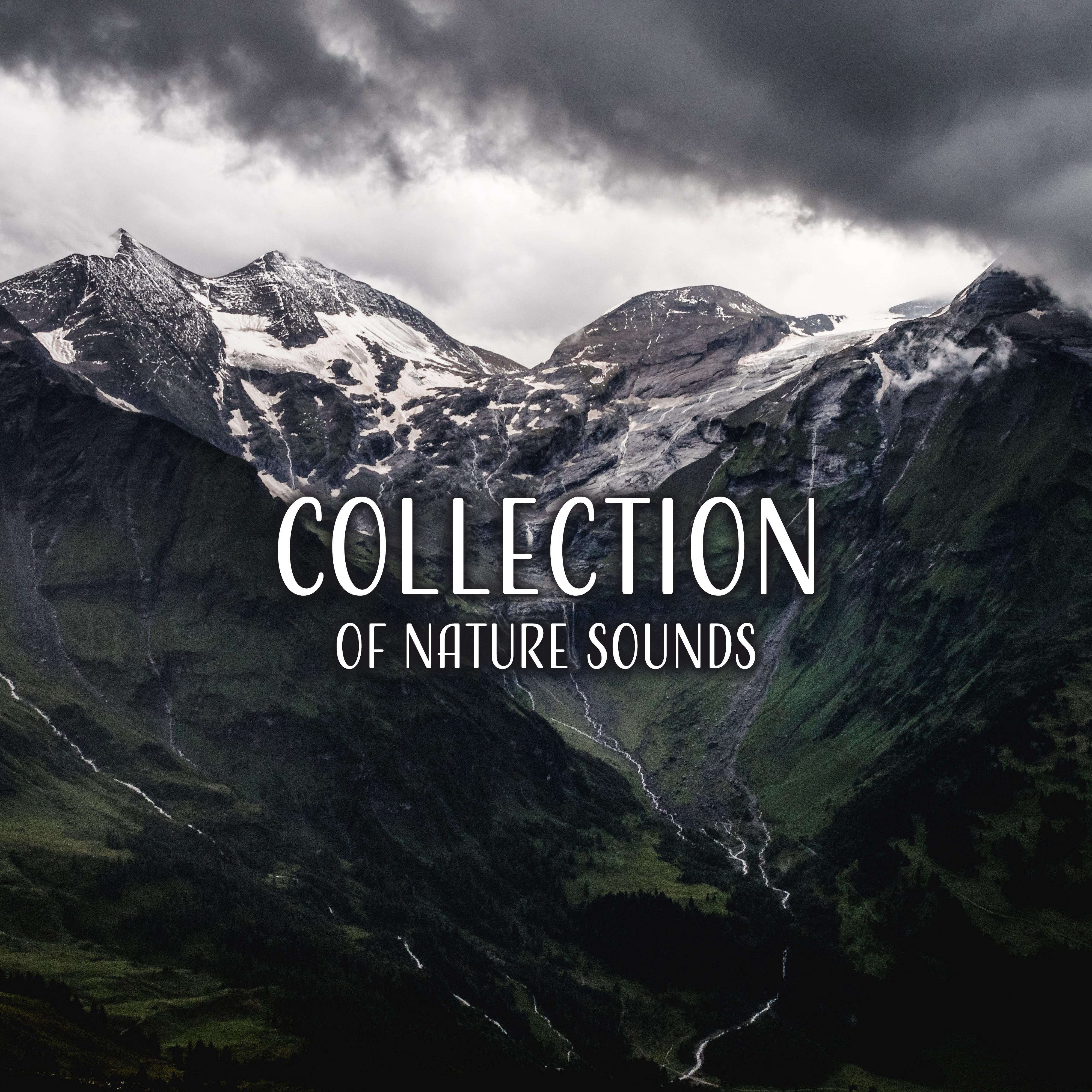 Collection of Nature Sounds