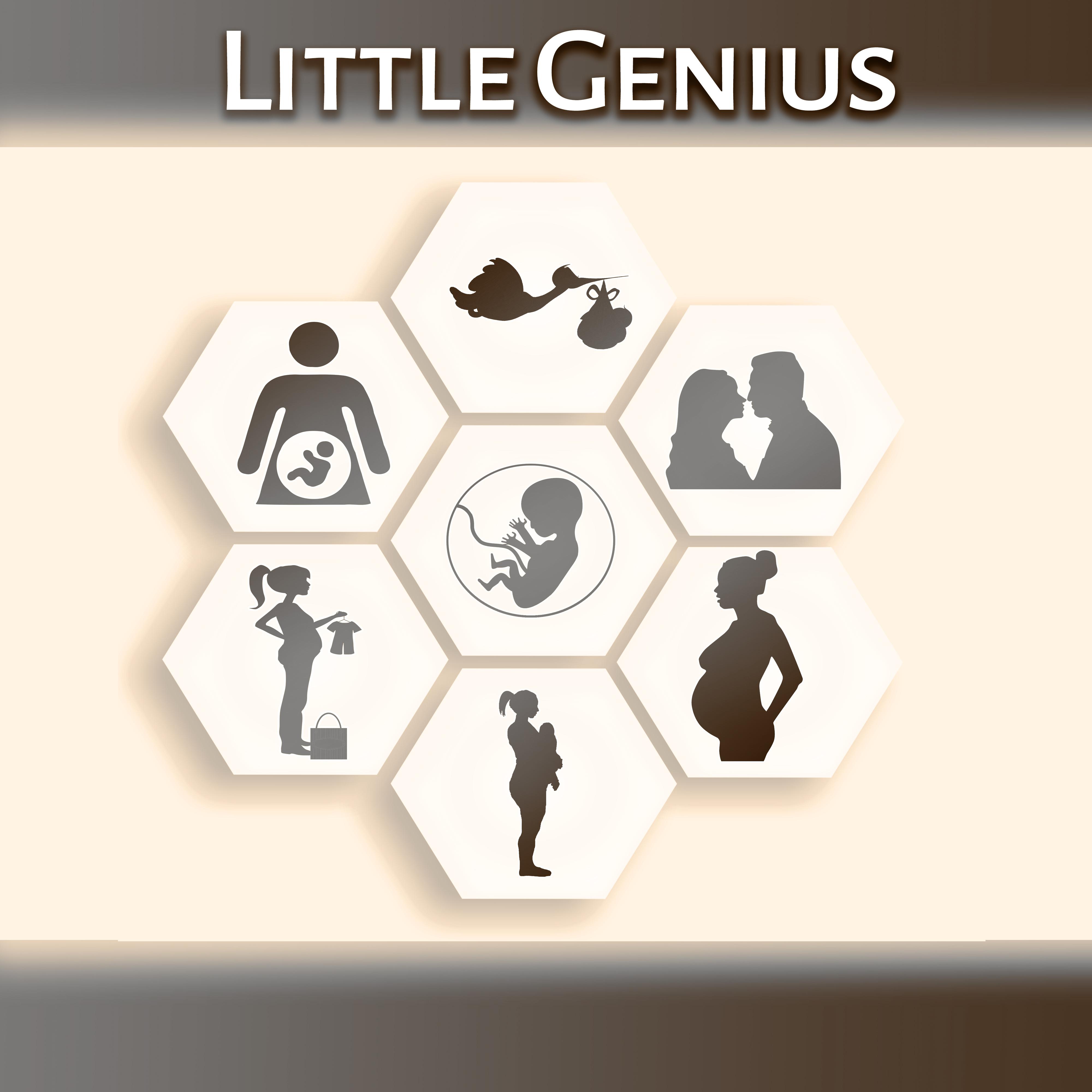 Little Genius – Development Music for Baby, Classical Collection, Smart and Little Toddler, Train Mind Baby