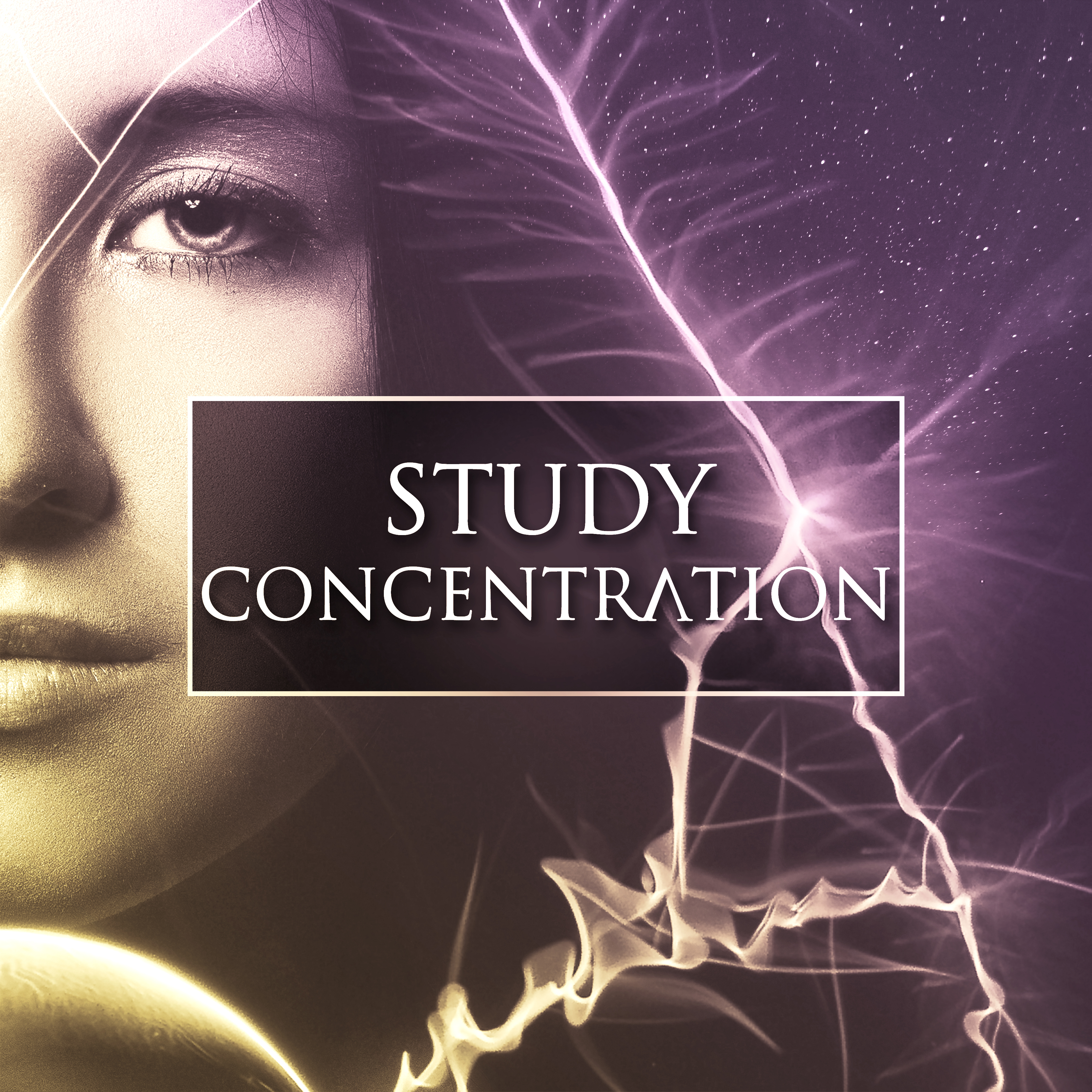 Study Concentration – Instrumental Sounds for Easy Learning, Development Songs, Deep Focus, Clear Mind, Mozart, Beethoven