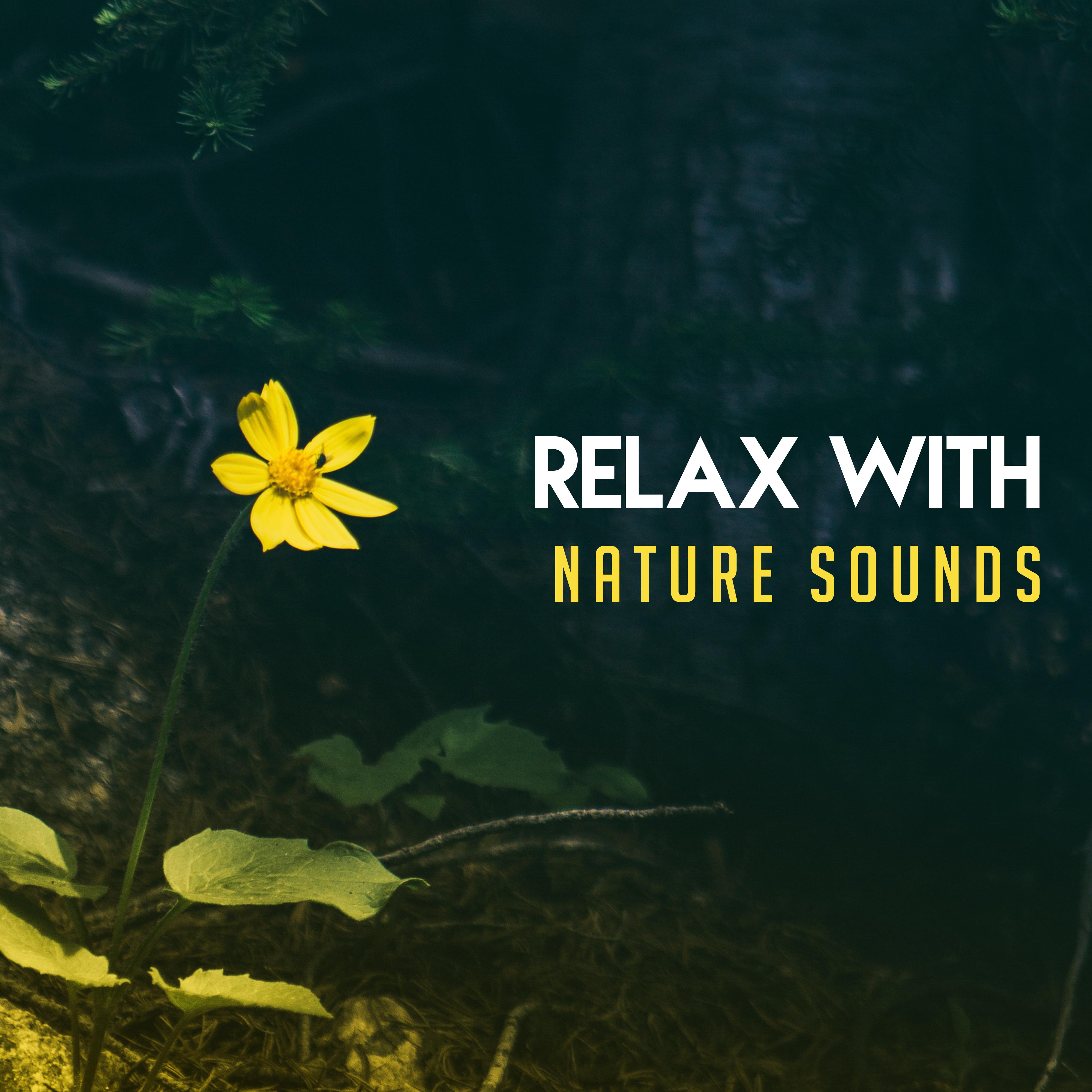 Relax with Nature Sounds – Deep Relief, Inner Zen, Pure Mind, Calm Down, Relaxing Songs, Ambient Music