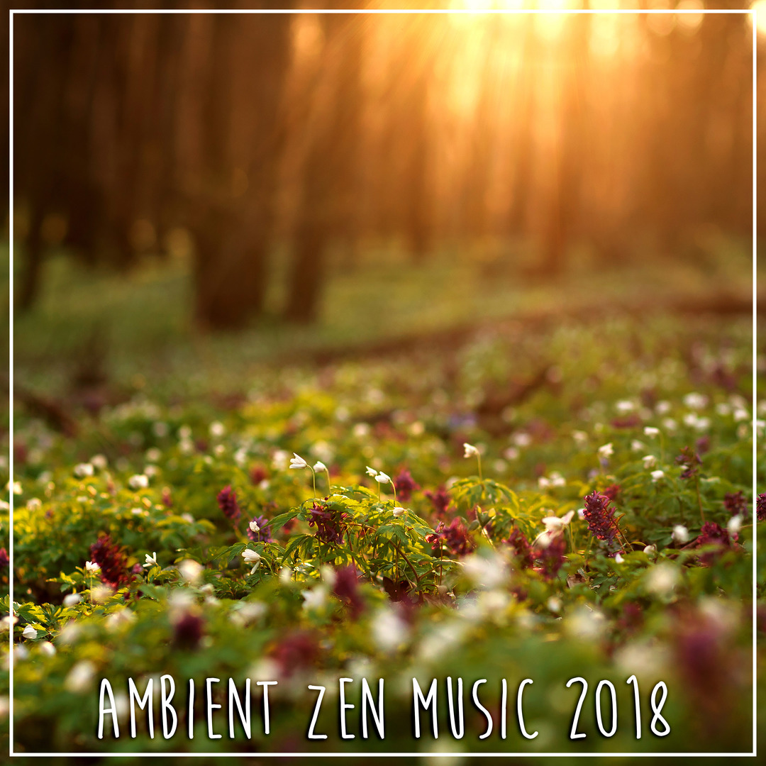 Ambient Zen Music 2018