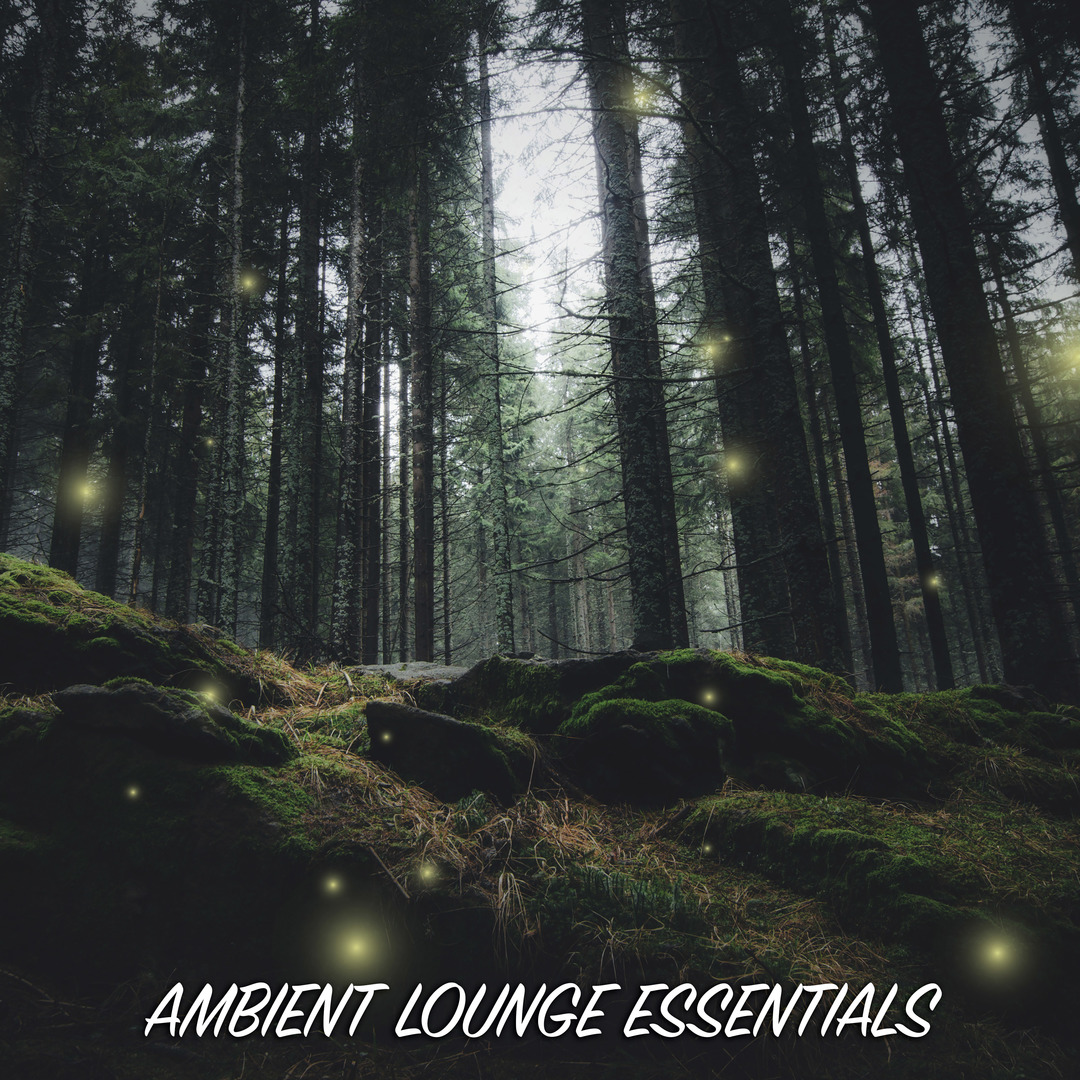 Ambient Lounge Essentials