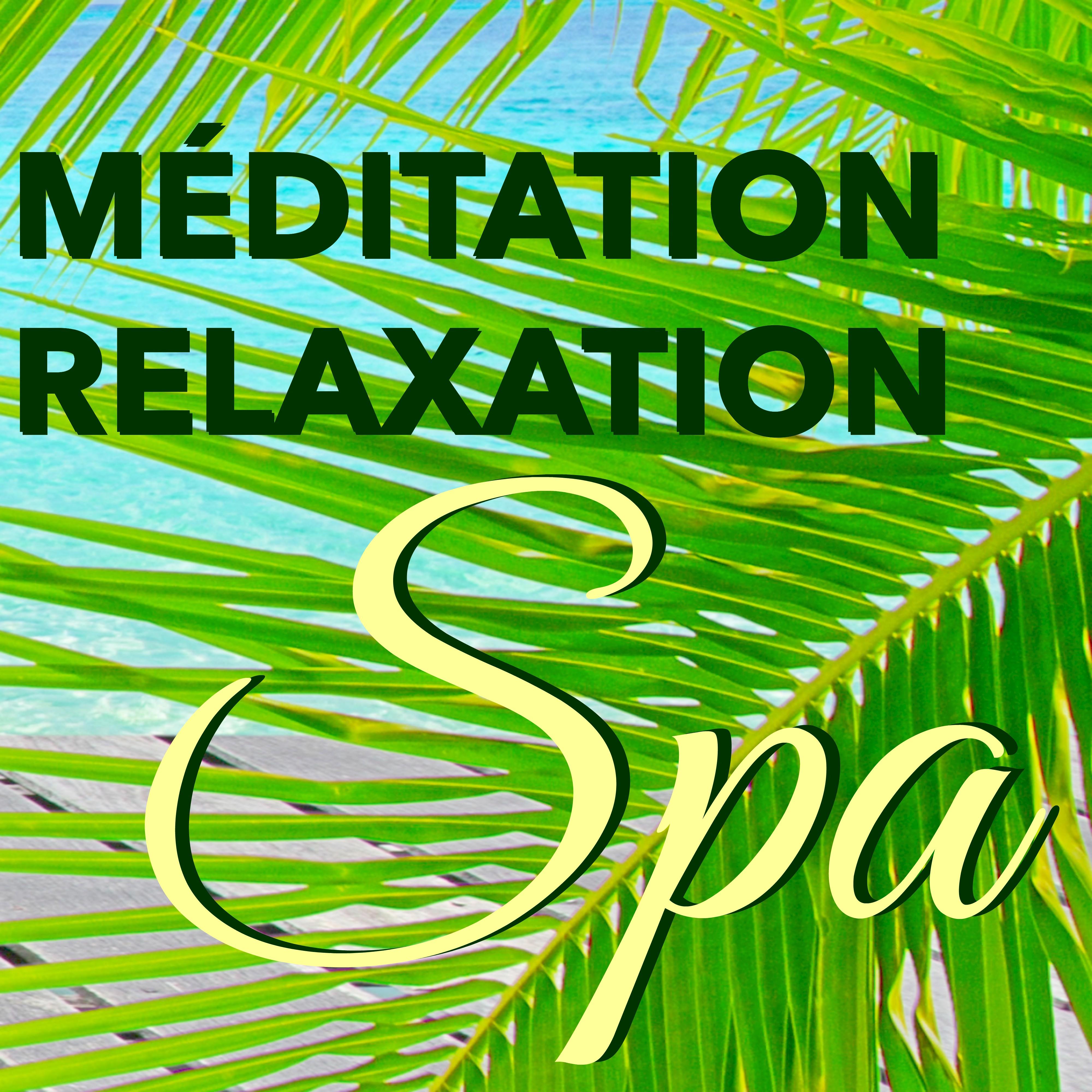 Méditation Relaxation Spa – Musique d'Ambiance pour Méditation Yoga et Massage Relaxant au Spa, Coffret Bien-être Anti Stress pour Spa Salon