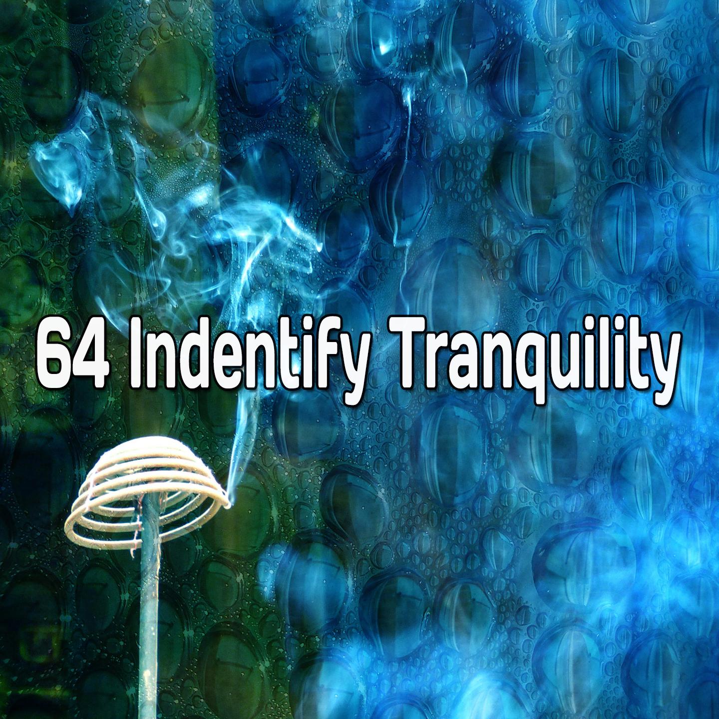 64 Indentify Tranquility