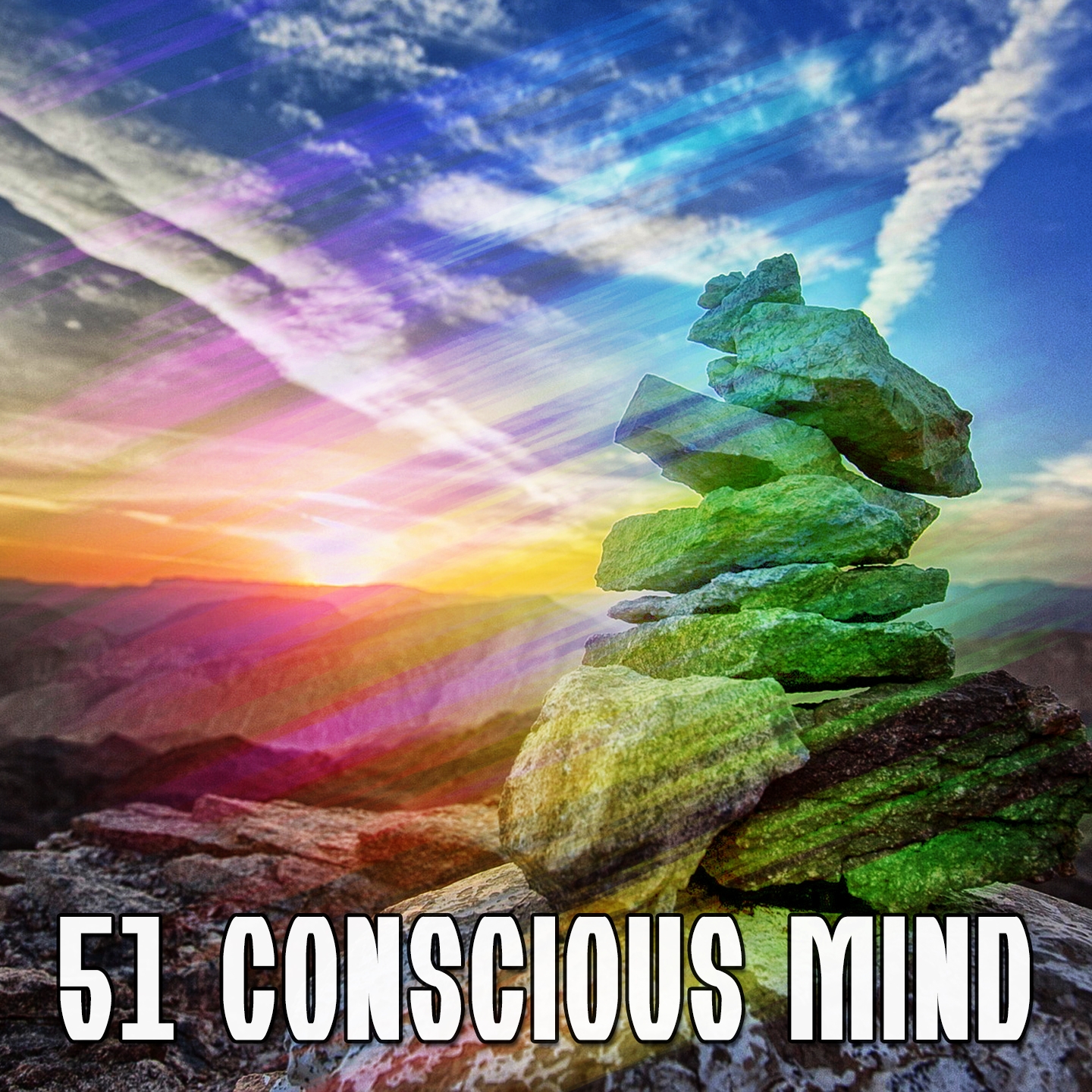 51 Conscious Mind