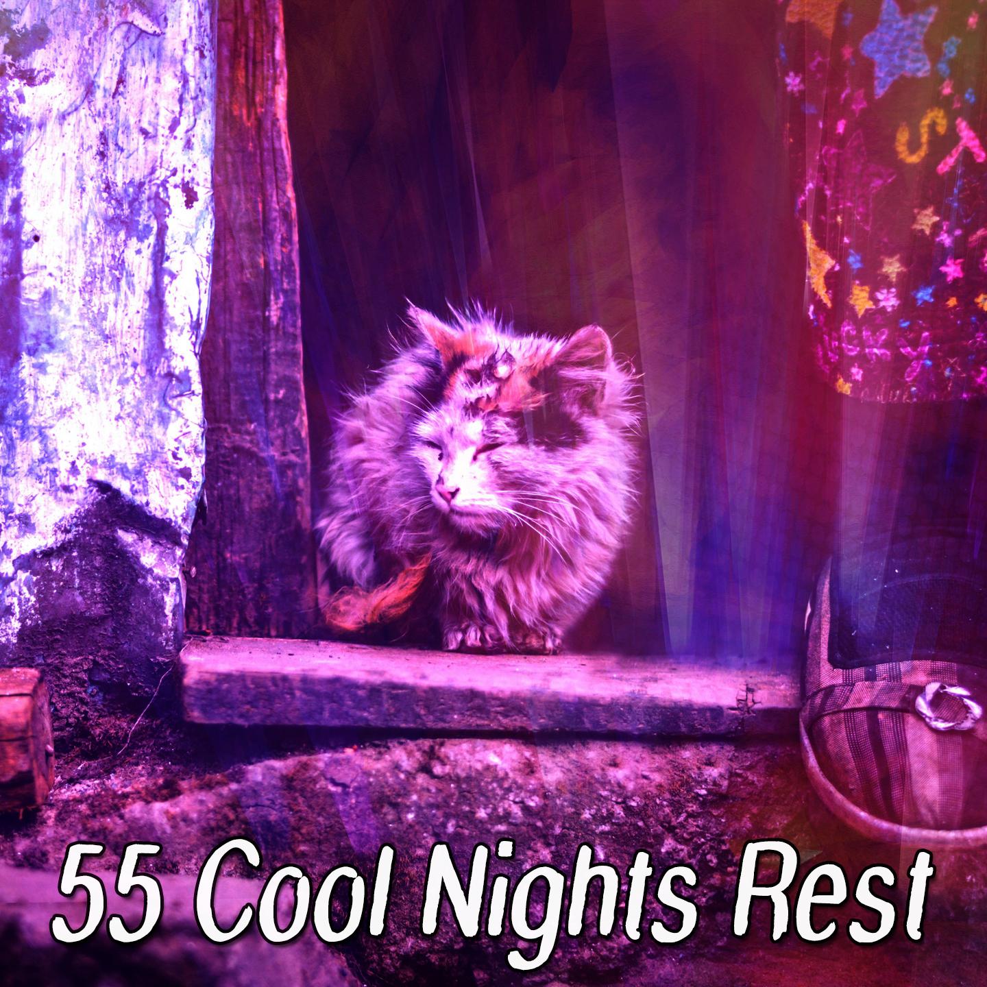 55 Cool Nights Rest