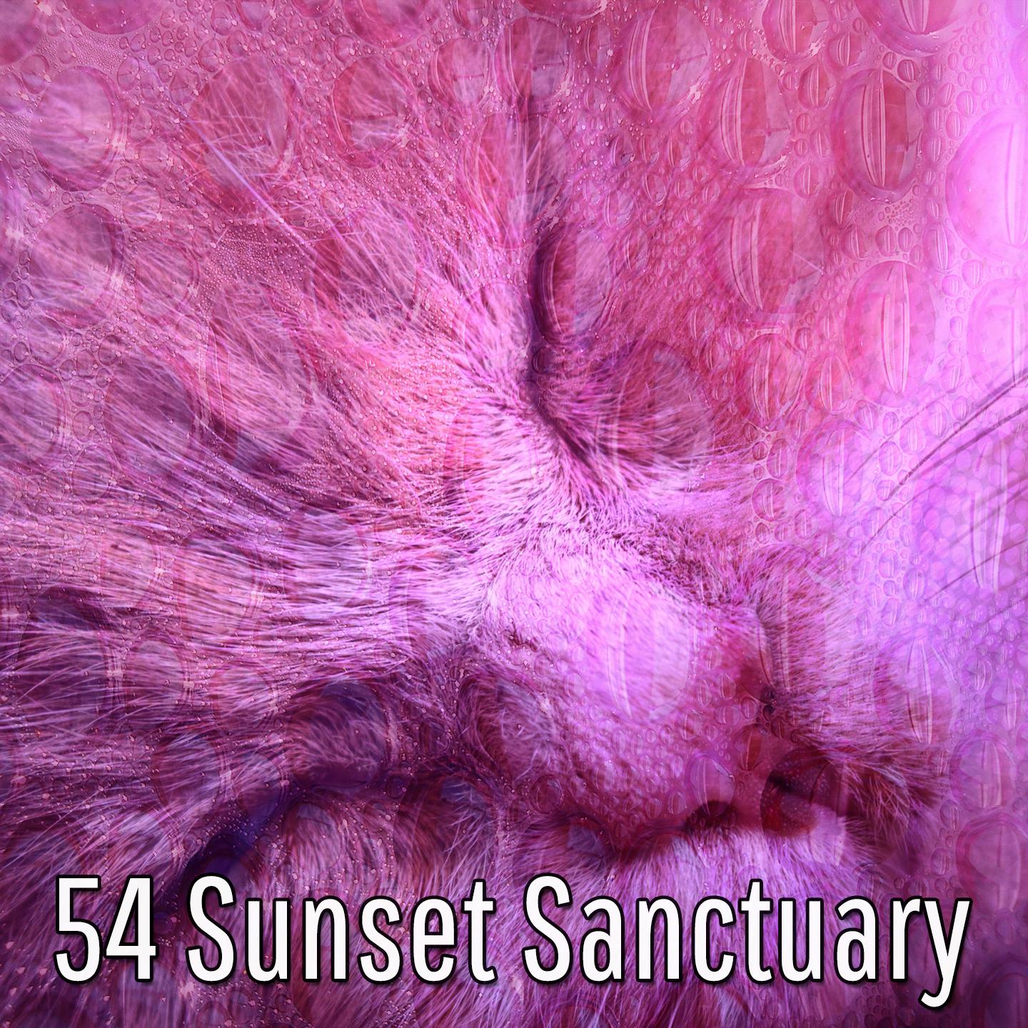54 Sunset Sanctuary