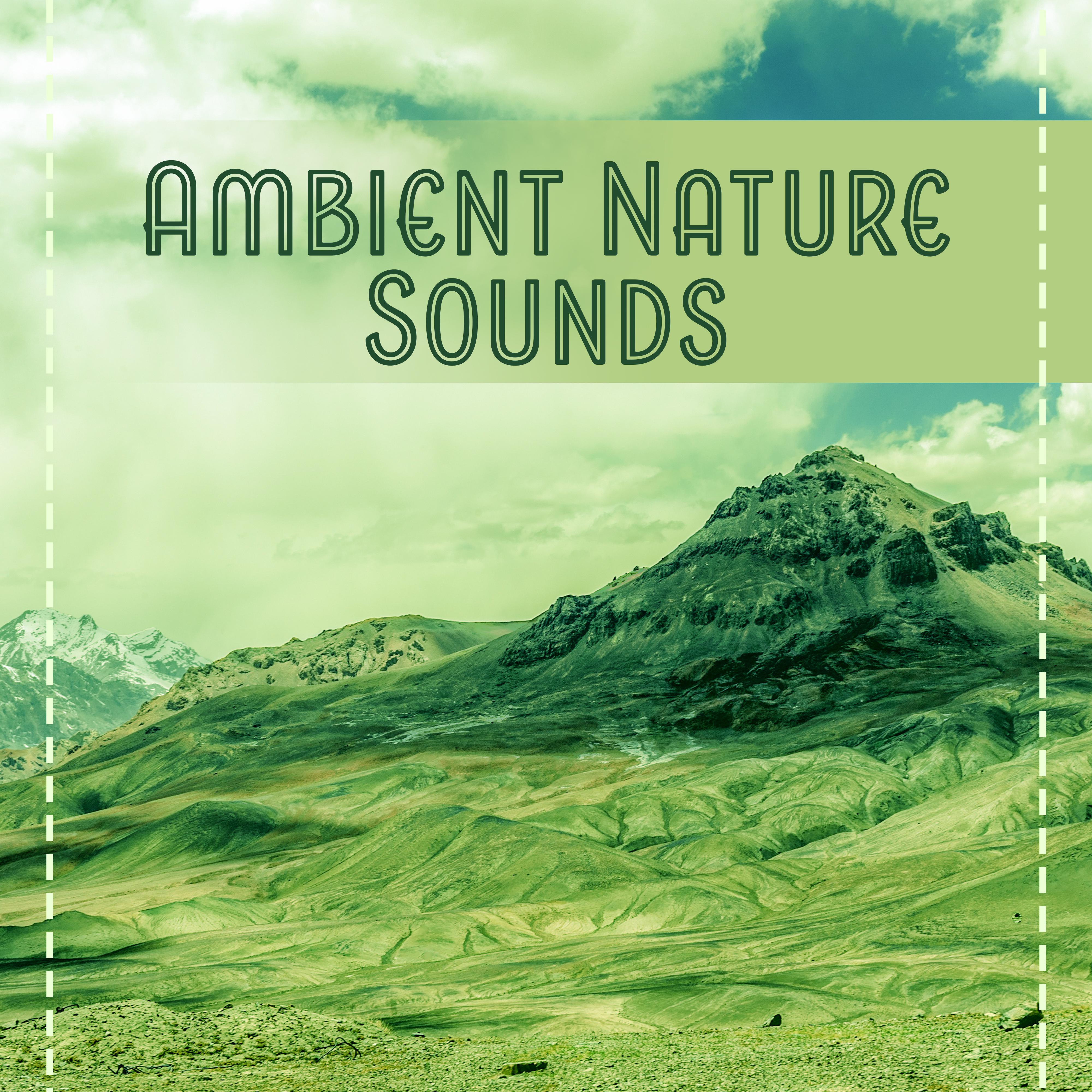 Ambient Nature Sounds – Relaxing Music, Best for Deep Relaxation, Spa at Home, Beauty Parlour, Rest