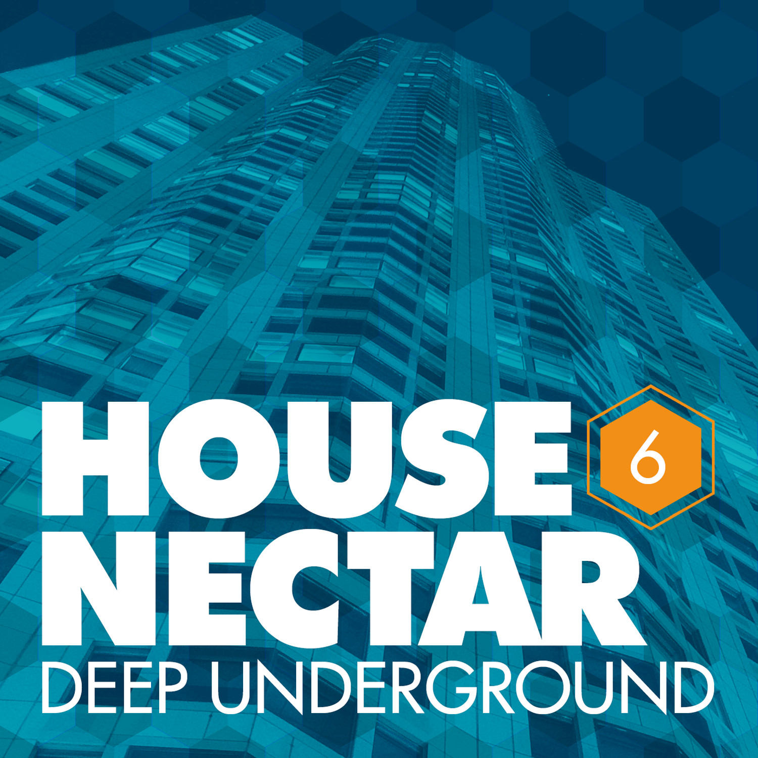Underground House Nectar, Vol. 6