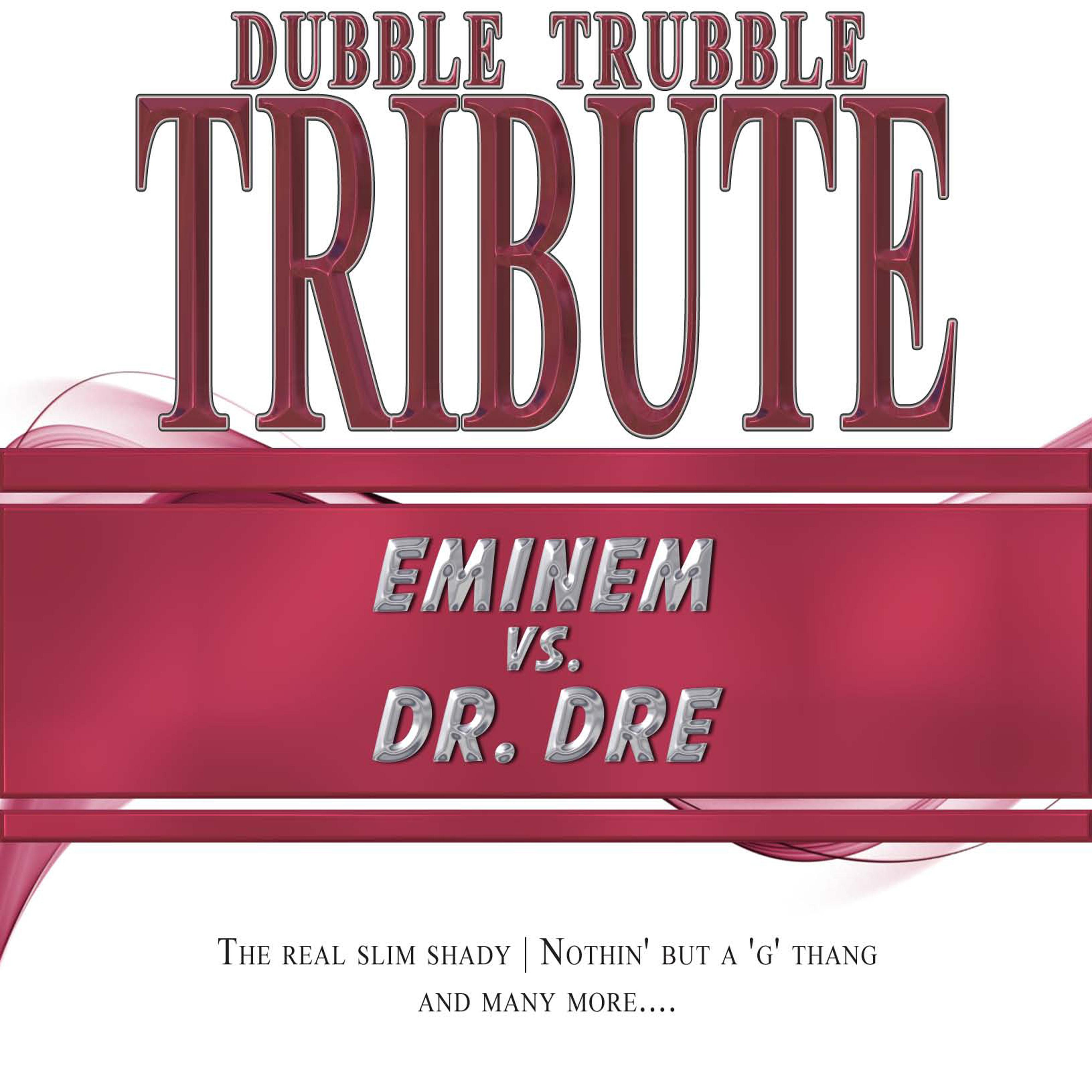 A Tribute To - Eminem vs. Dr. Dre