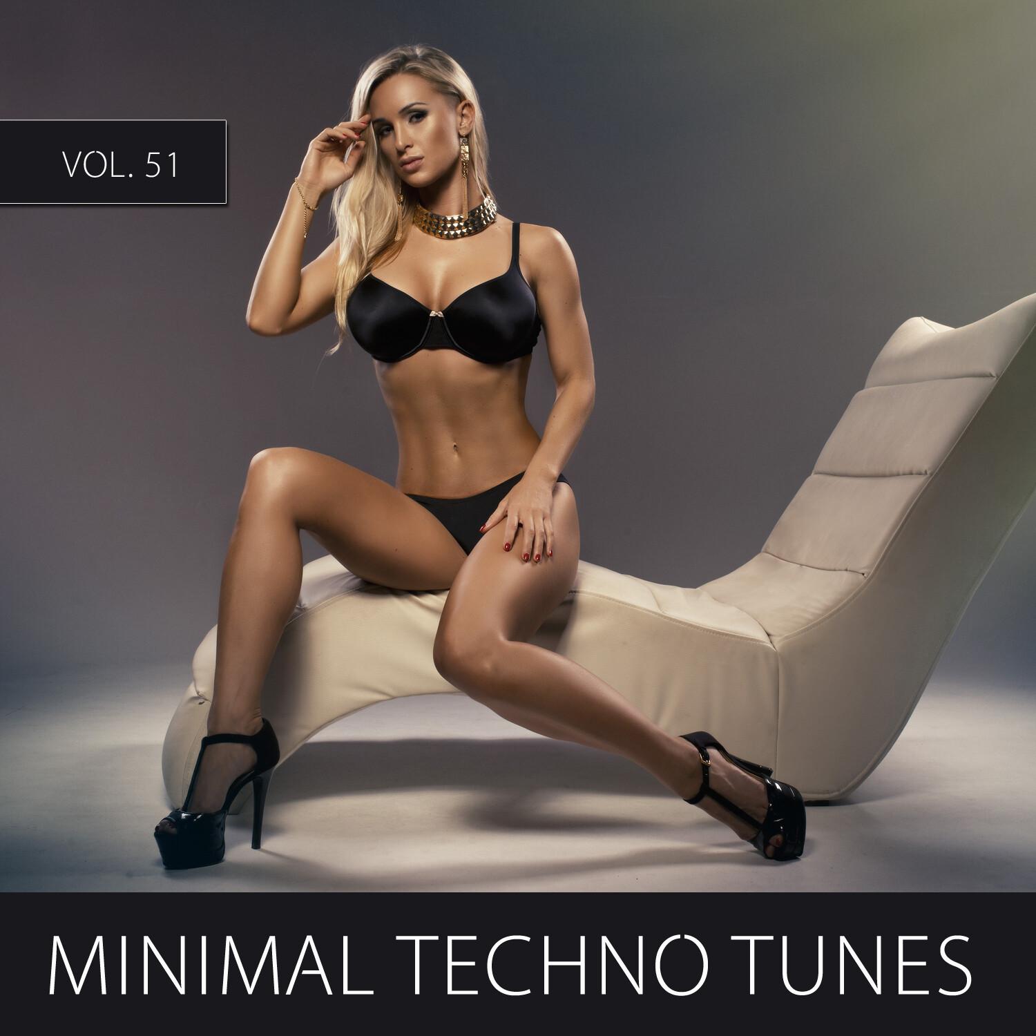 Minimal Techno Tunes, Vol. 10